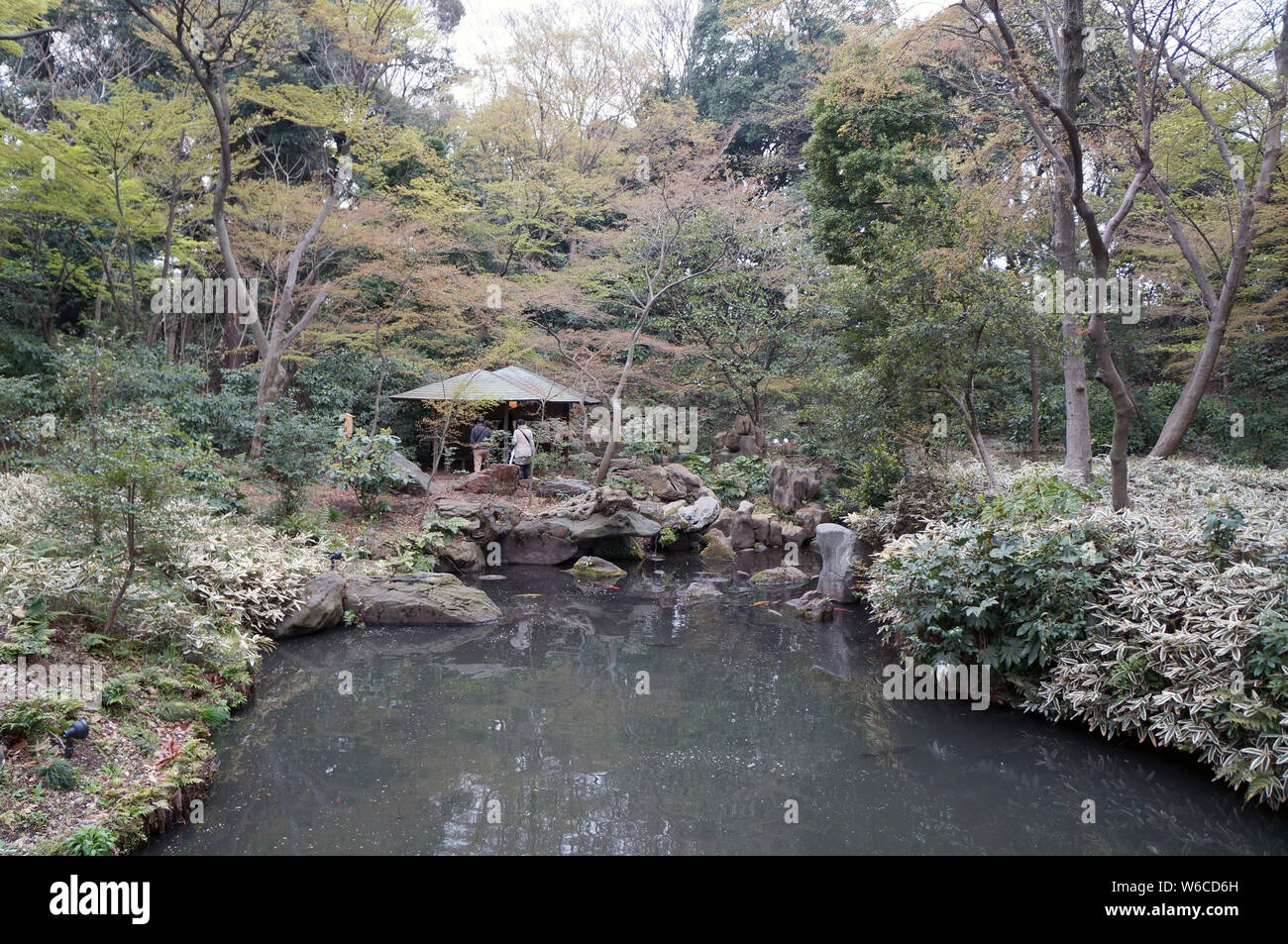 Rikugi-en traditional Japanese garden, Tokyo, tea house Stock Photo - Alamy