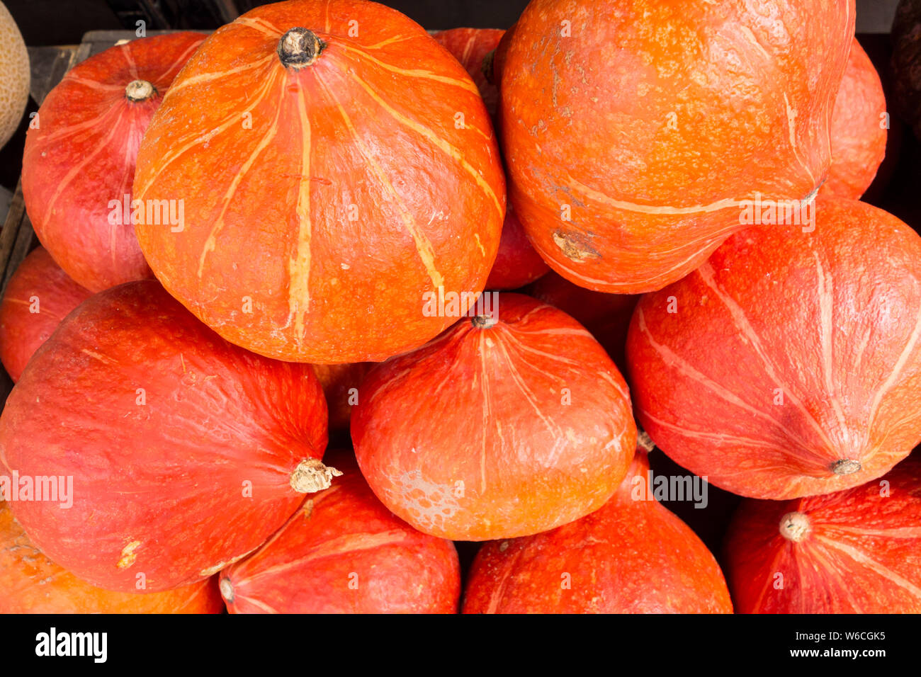 A pile of colourful, bright orange Golden Hubbard squash Stock Photo
