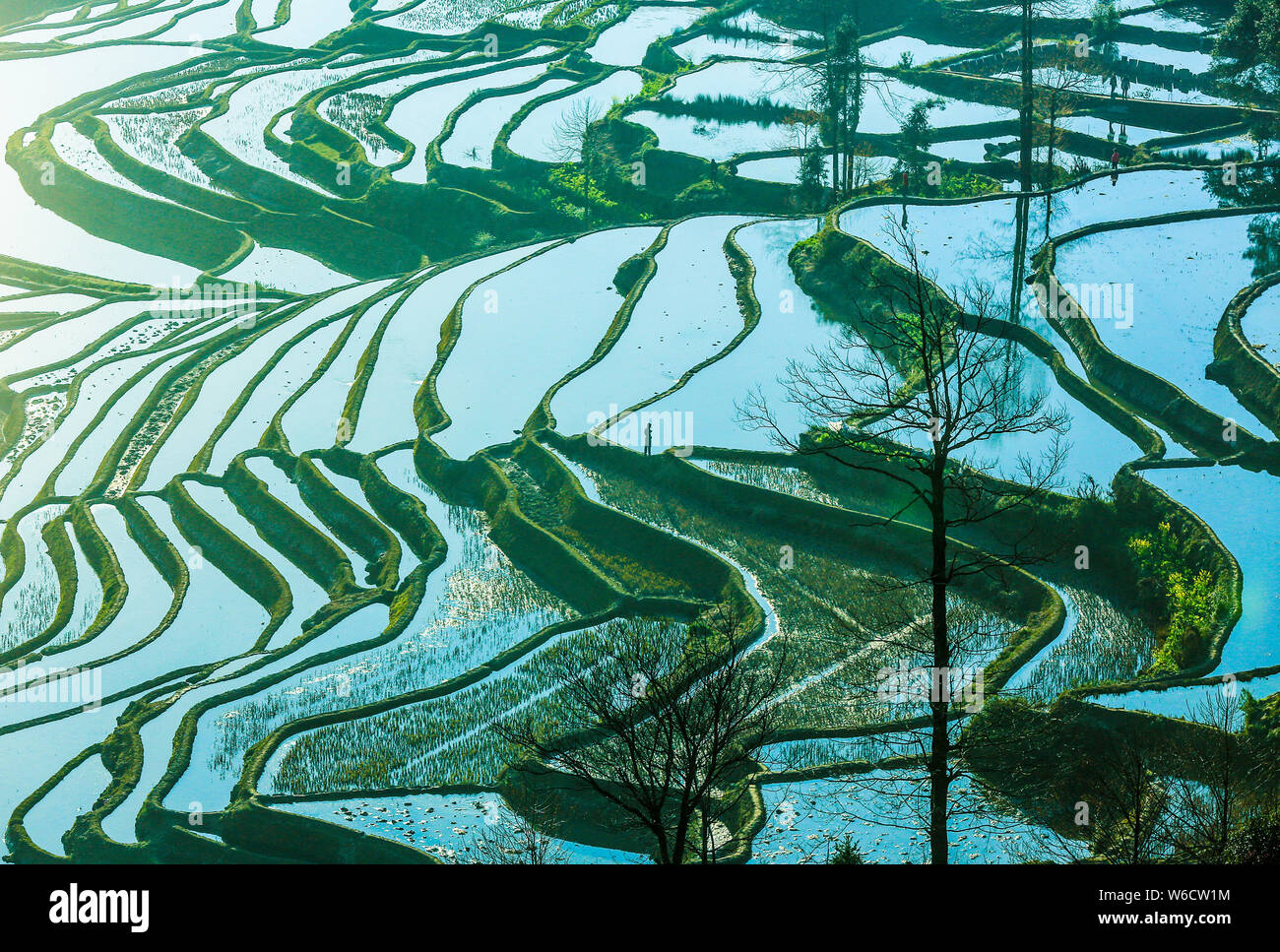 Yuanyang hani rice terraces hi-res stock photography and images - Alamy