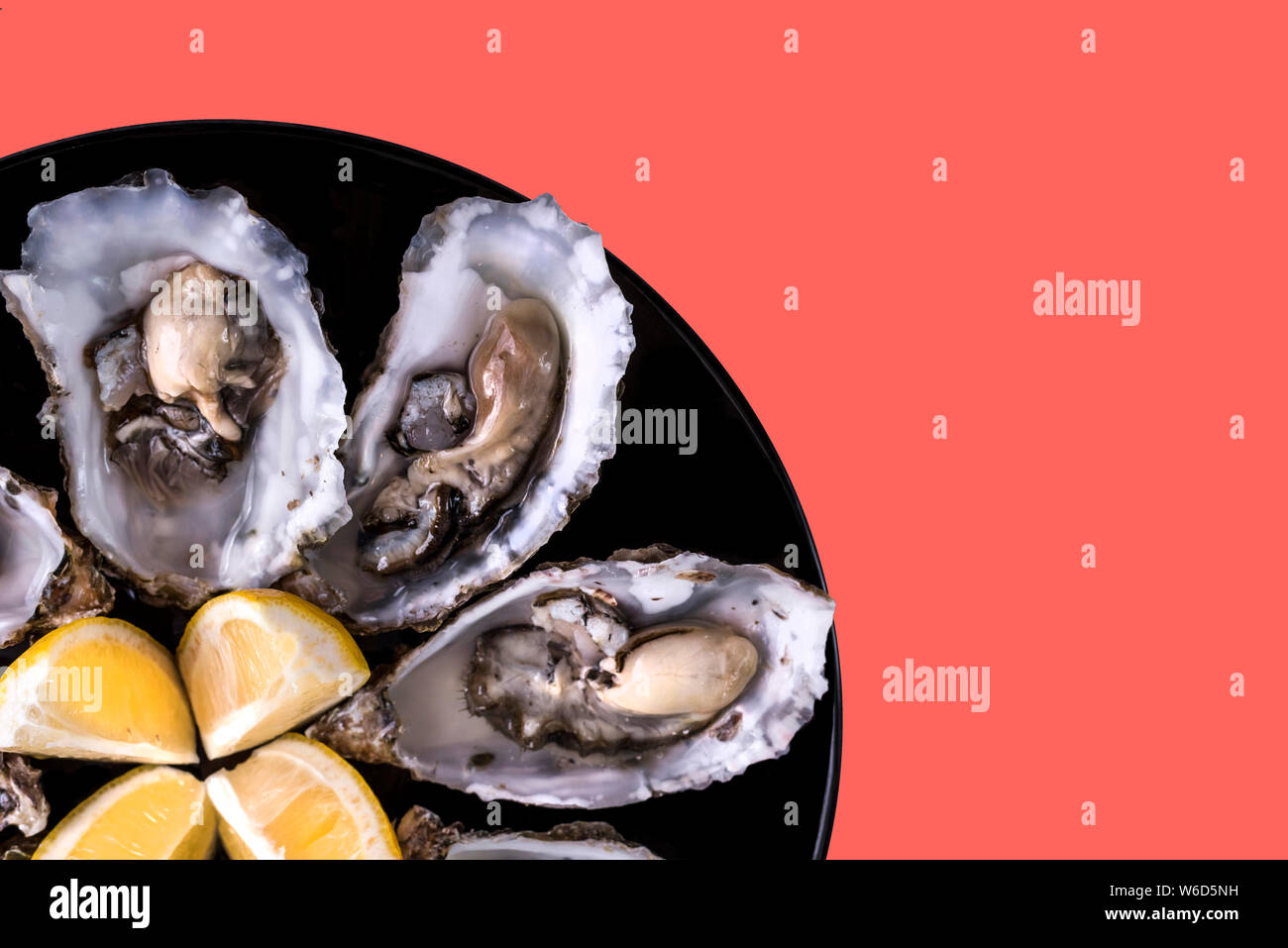 Oysters plate with lemon on coral background.Fresh oysters close-up top view. Healthy sea food.Oyster dinner with champagne in restaurant.Gourmet food Stock Photo