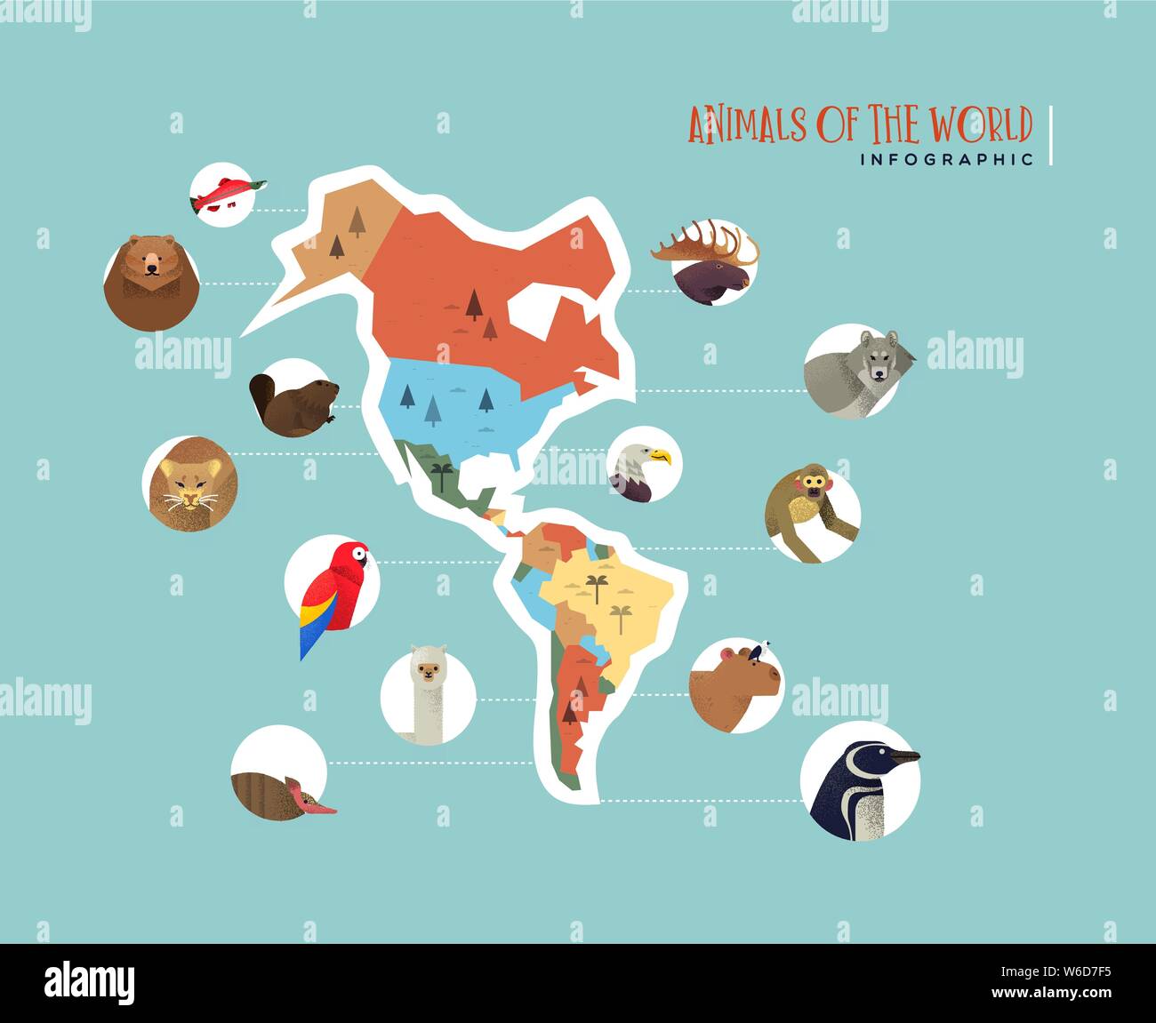 The Americas map infographic with wild animals from south and north america. Diverse wildlife icons includes bear, monkey, bird, wolf, exotic fauna te Stock Vector