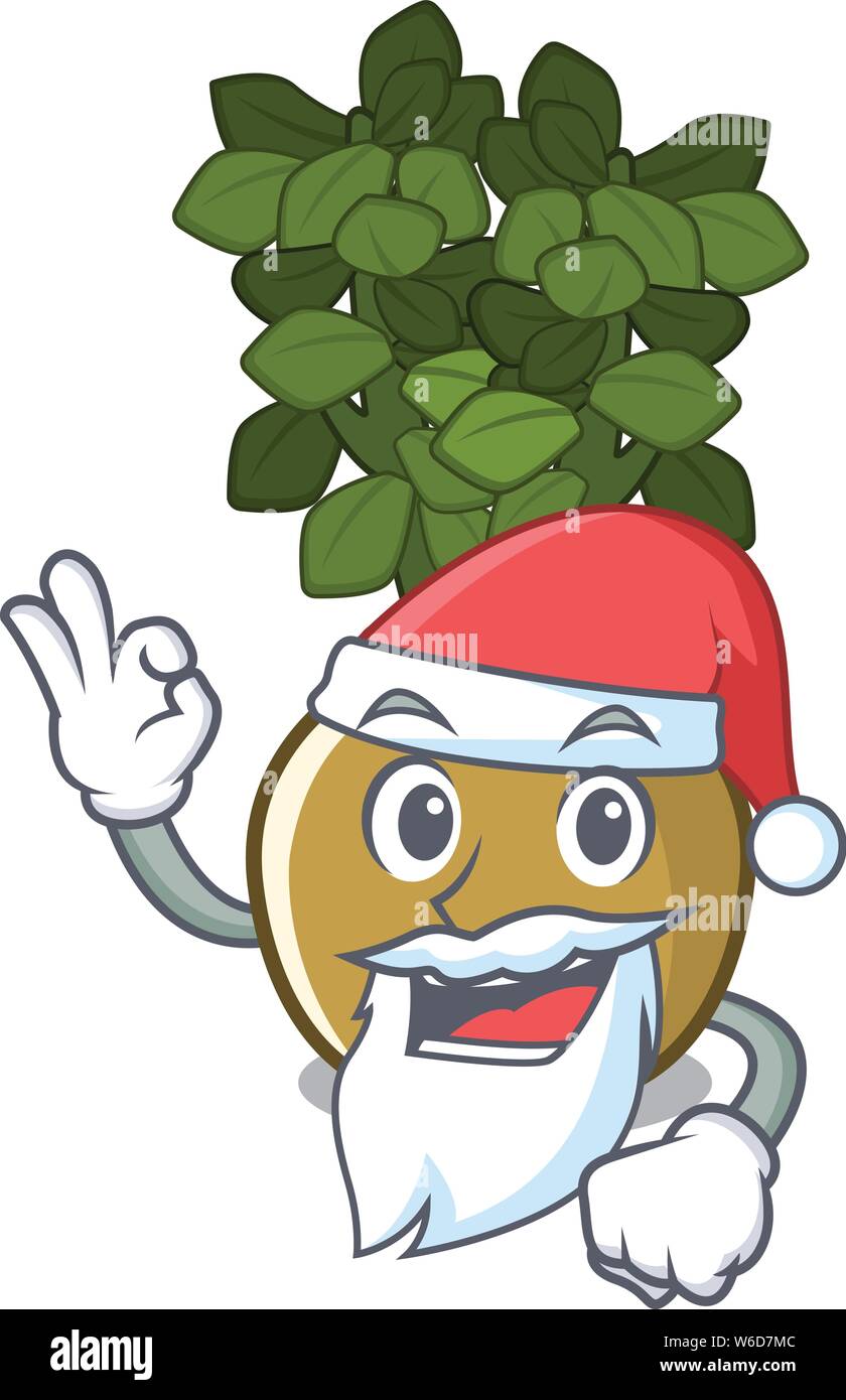 Santa jade plant grows in cartoon stem Stock Vector