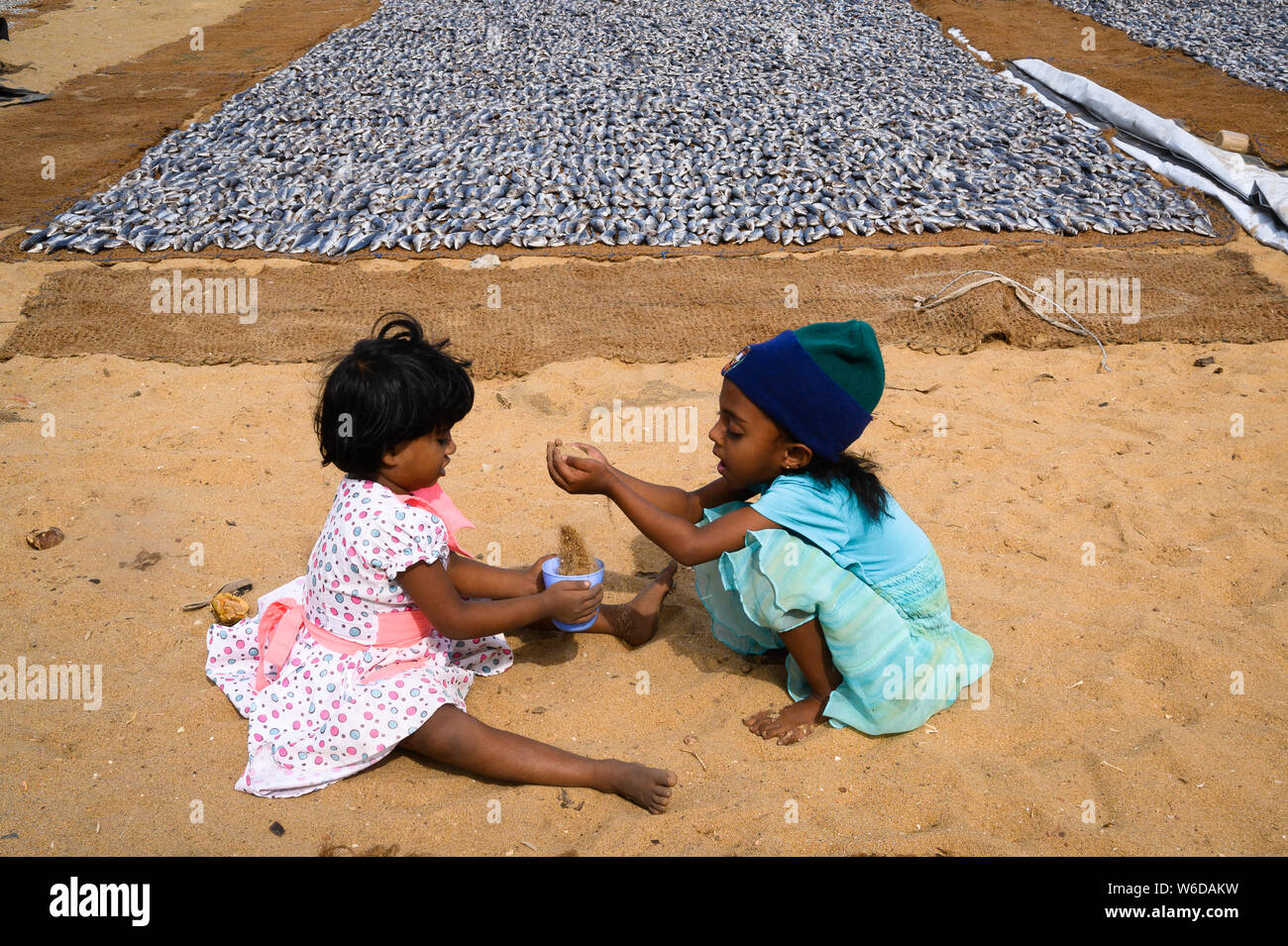 Children playing in the sand by drying fish at the Negombo Fish Market Complex, Negombo, Sri Lanka. Stock Photo