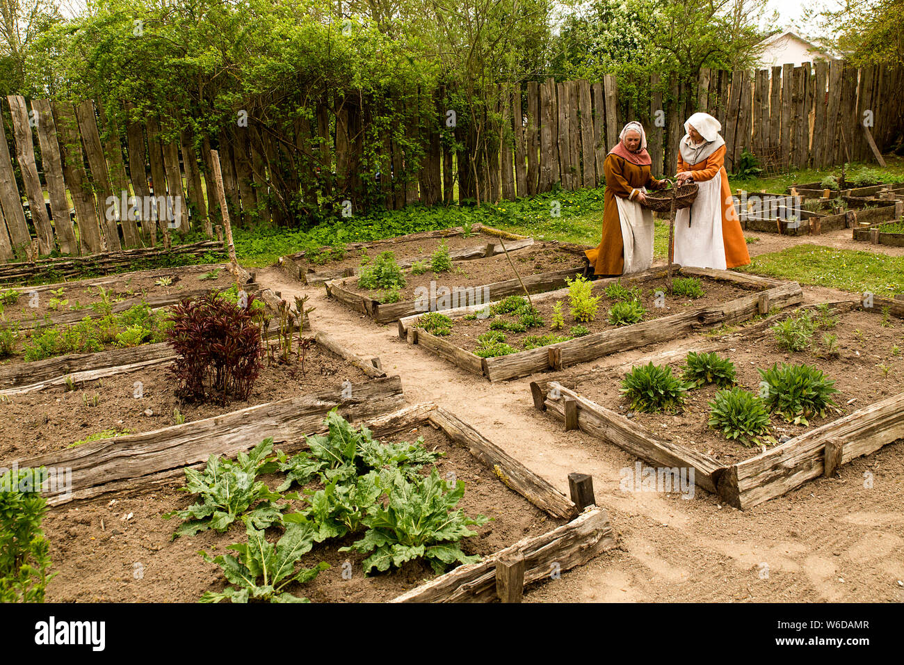 Two women working in the medical herbs garden at the outdoor Medieval Centre in Nykøbing Falster, Denmark. The Medieval Centre is built around the village Sundkøbing at a fjord as it was around the year 1400. Houses are authentically designed and built with the people who populate the village, men, women, children, peasants, craftsmen, warriors and knights etc dressing and work as they would back in 1400.  Canons and large trebuchets can be seen firing missiles, knights in armour on horseback competing with lances and swords, dyers colouring textiles with plants and in the convent garden nuns Stock Photo