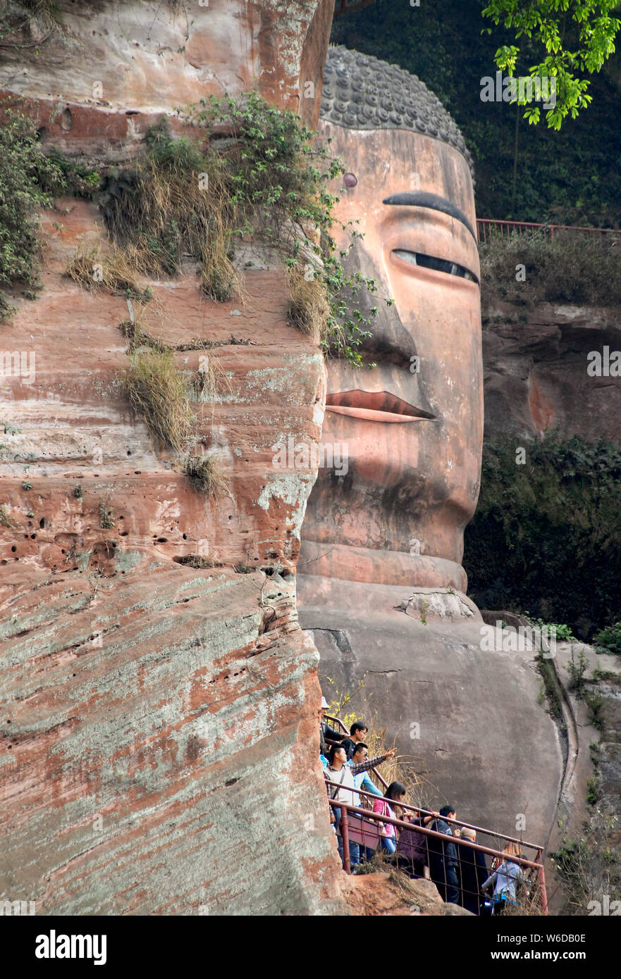 The Leshan Giant Buddha or Leshan Grand Buddha near Chengdu. This is the tallest stone Buddha statue in the world. Leshan Buddha, Sichuan, head view. Stock Photo