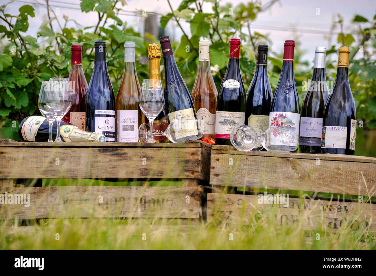 Wine tasting bottles of white wine from the Touraine region. NOTICE