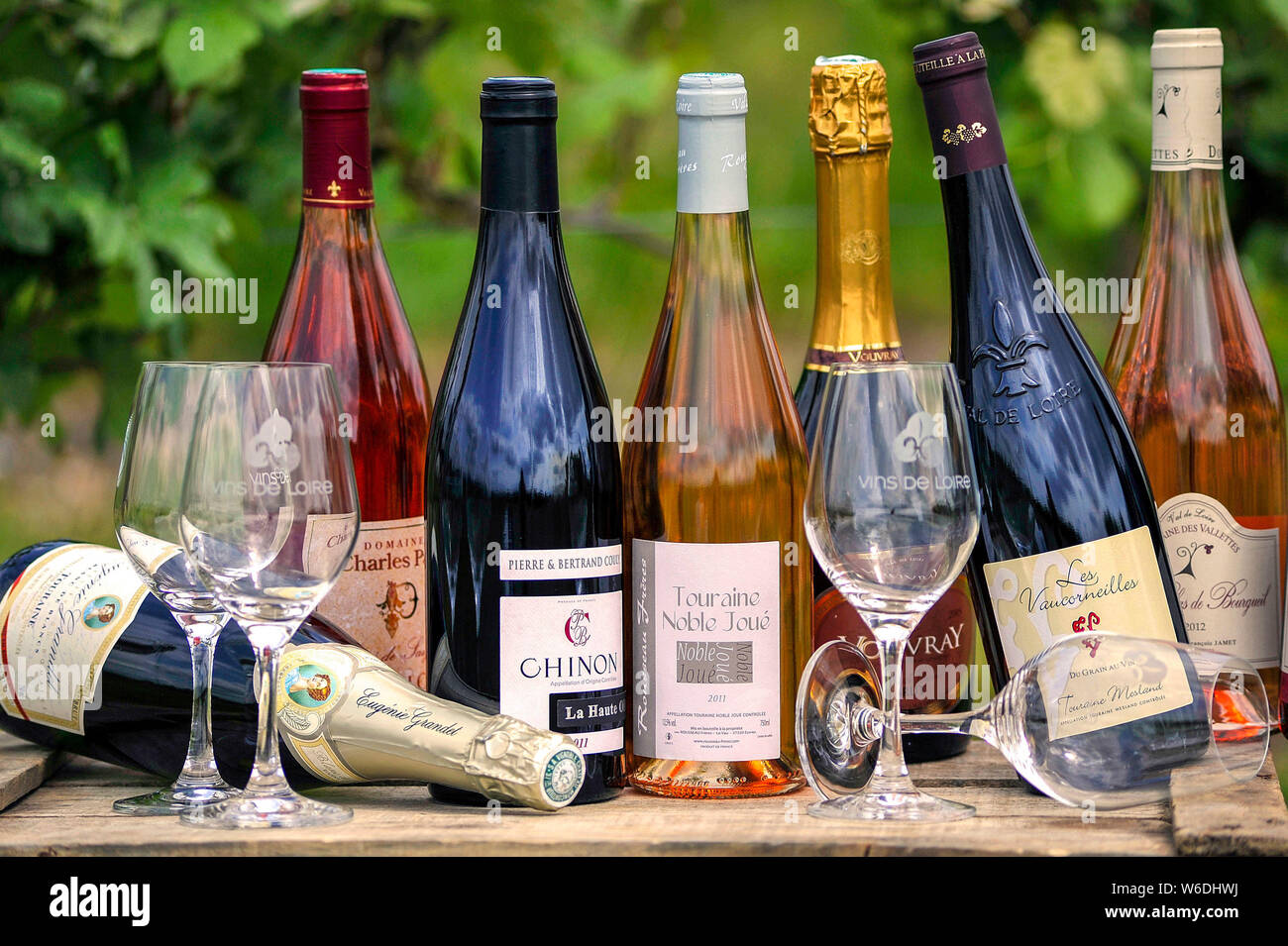 Wine tasting bottles of white wine from the Touraine region. NOTICE