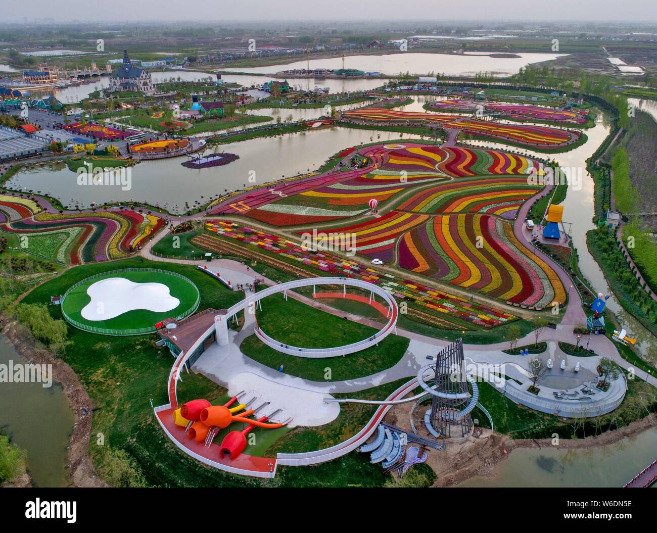 Aerial view of more than 30 million tulips in full blossom at the