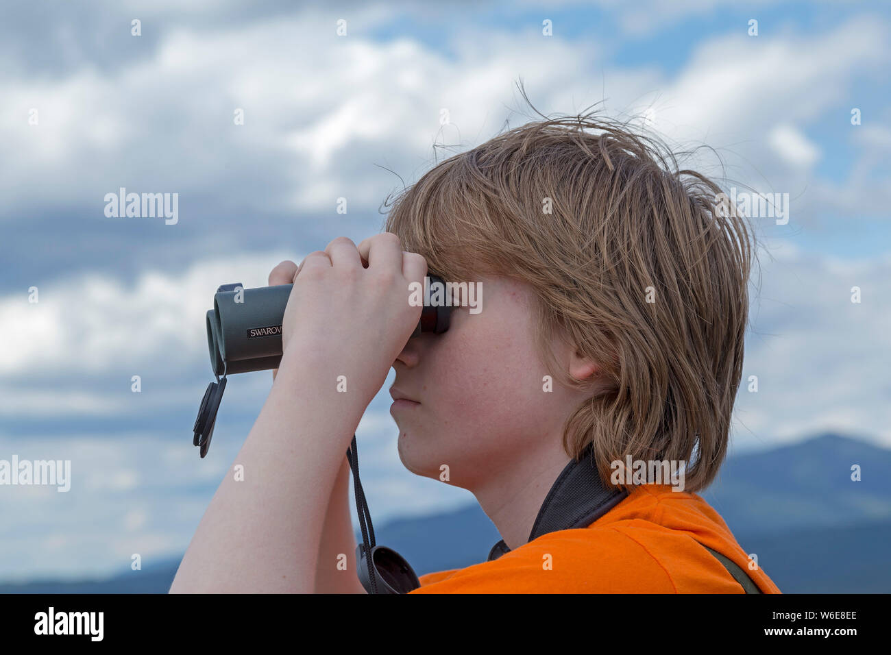 boy looking through binoculars, Neuschönau, National Park, Bayerischer Wald, Bavaria, Germany Stock Photo