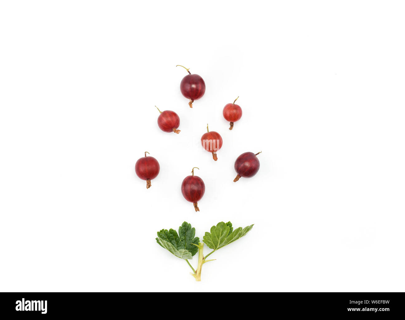 Organic ripe red gooseberry on white. Creative layout made of  gooseberries isolated on white. Flat lay with copy space. Food concept in minimal style Stock Photo