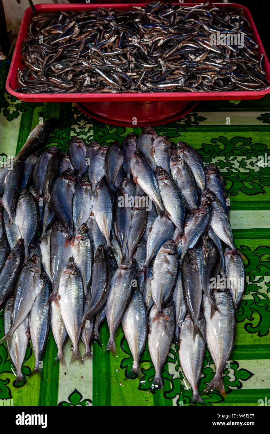 Fresh Fish For Sale At Carbon Market, Cebu City, Cebu, The Philippines