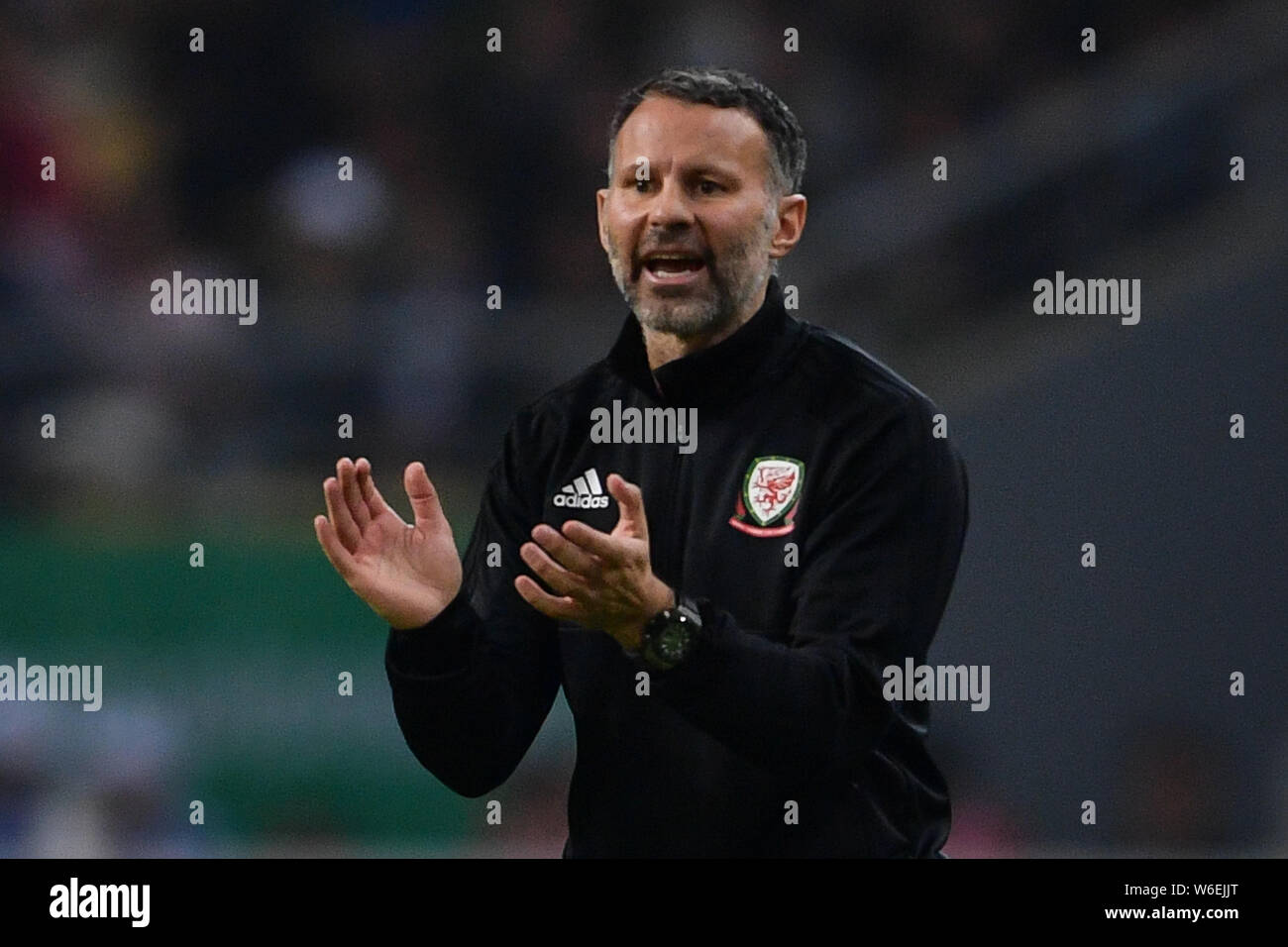 Head coach Ryan Giggs of Wales national football team shouts instructions to his players as they compete against Uruguay national football team in the Stock Photo