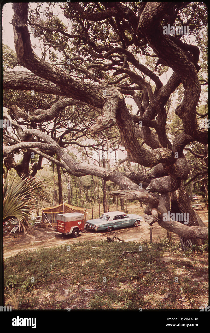 A PUBLIC CAMPGROUND ON ISLE OF PALMS, A POPULAR OCEAN RESORT Stock