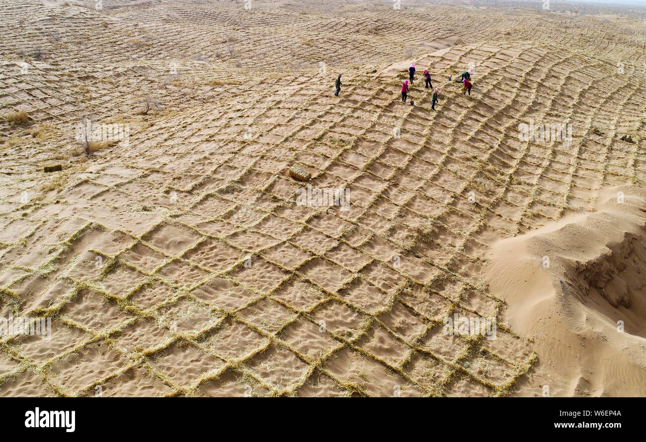 Anti-desertification volunteers strengthen a straw checkerboard sand barrier in Linze county of Zhangye city, northwest China's Gansu province, 27 Mar Stock Photo