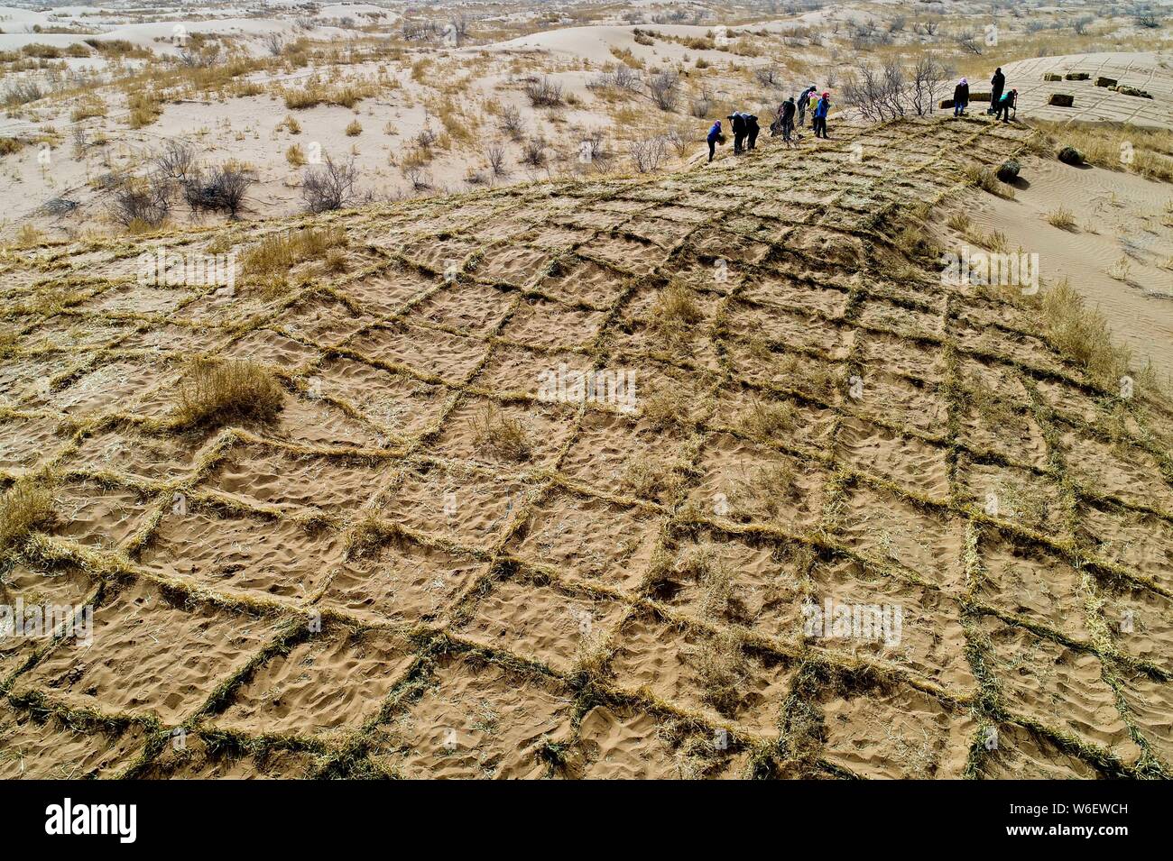 Anti-desertification volunteers strengthen a straw checkerboard sand barrier in Linze county of Zhangye city, northwest China's Gansu province, 27 Mar Stock Photo