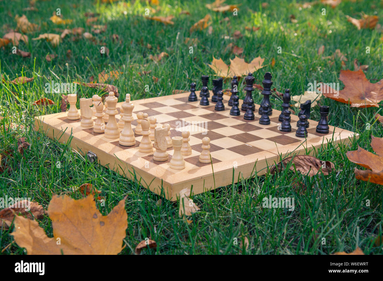 Wooden chessboard and pieces on green grass covered with dry yellow leaves in the city park. Focus on white pieces. Stock Photo
