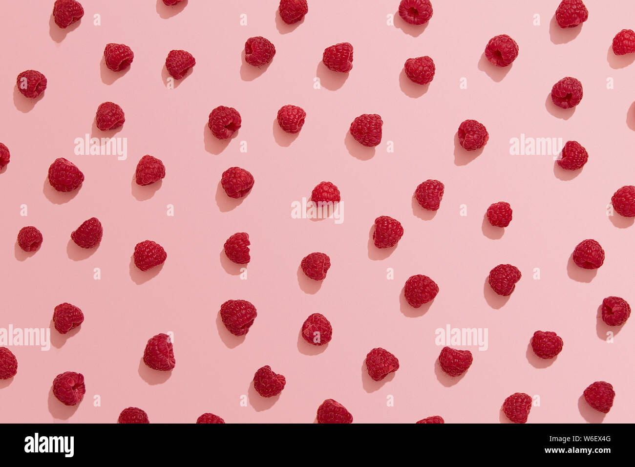 Red raspberries on pink background, Sunny berry flat lay Stock Photo