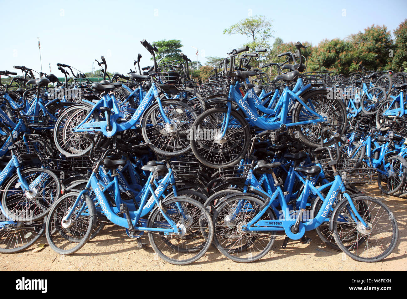 Bluegogo bike for store sale