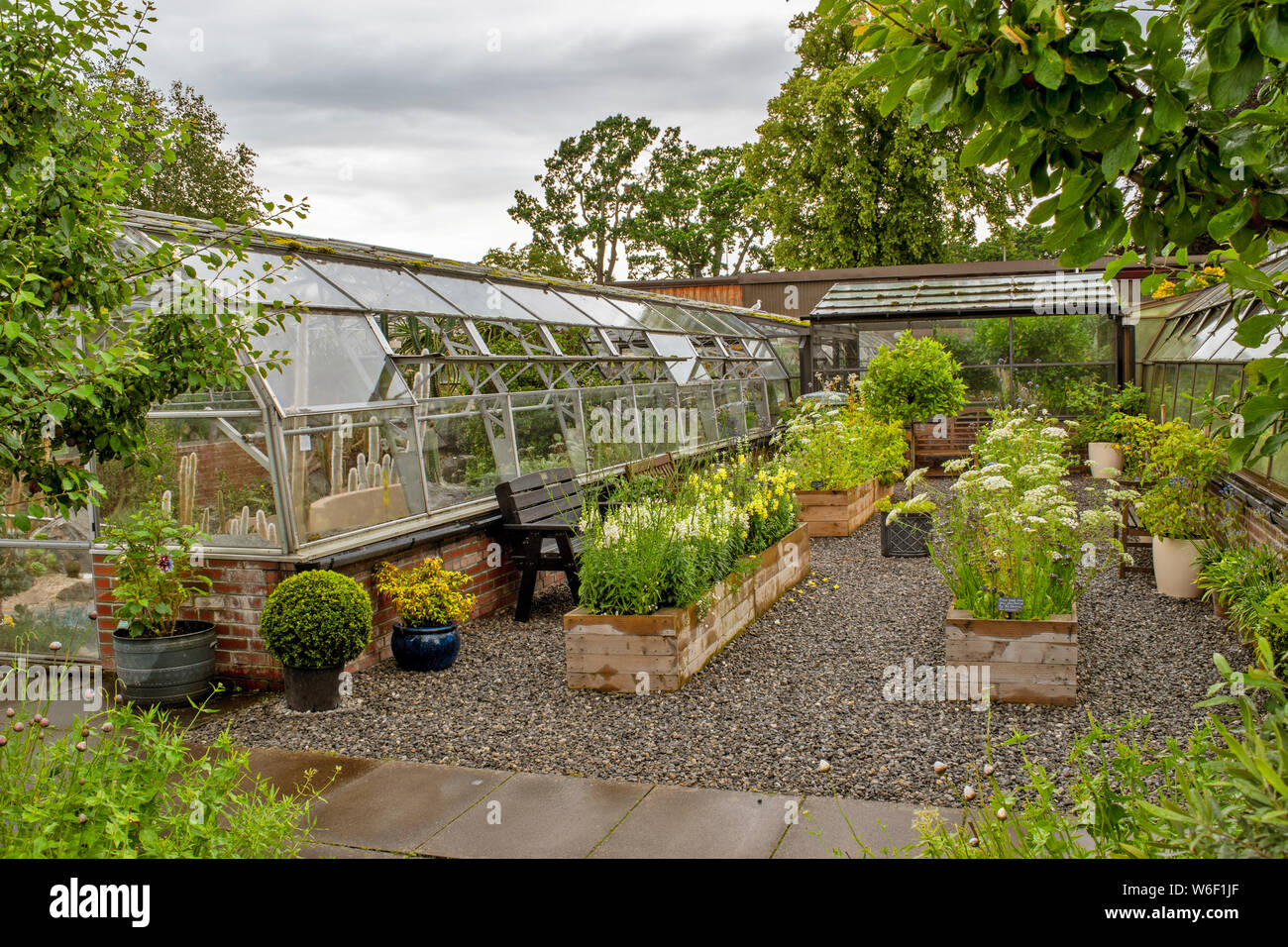 INVERNESS SCOTLAND THE BOTANIC GARDENS PATIO WITH CHAIRS GREENHOUSES AND A  VARIETY OF FLOWERS IN WOODEN CONTAINERS Stock Photo - Alamy