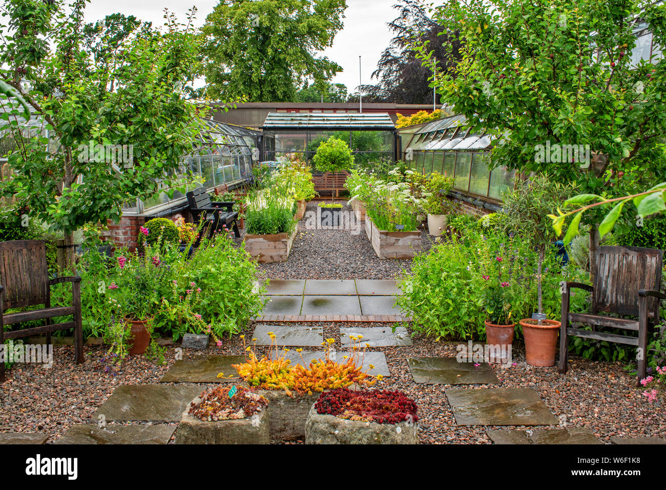 INVERNESS SCOTLAND THE BOTANIC GARDENS PATIO WITH CHAIRS GREENHOUSES