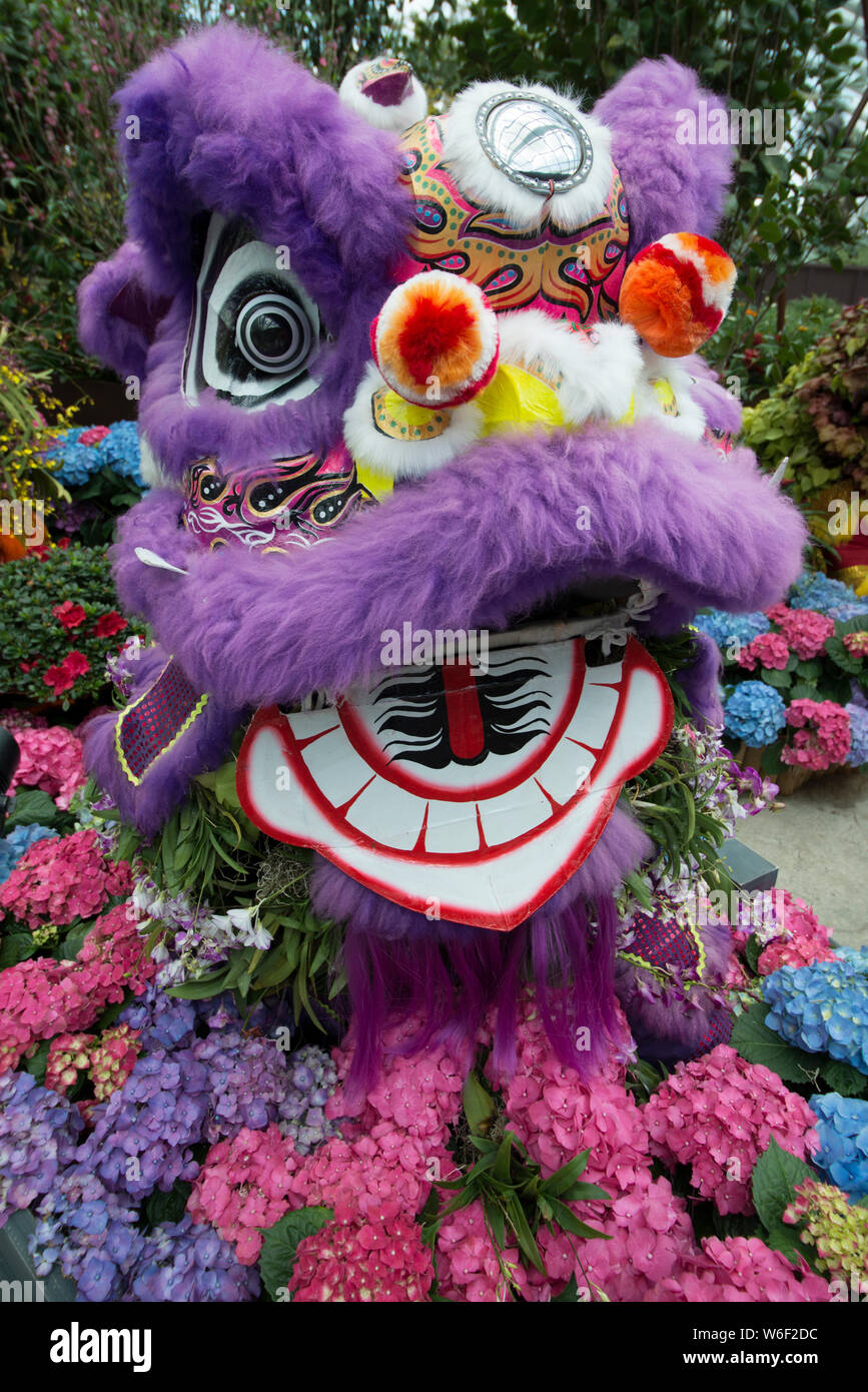 Chinese lion surrounded by hydrangeas Stock Photo