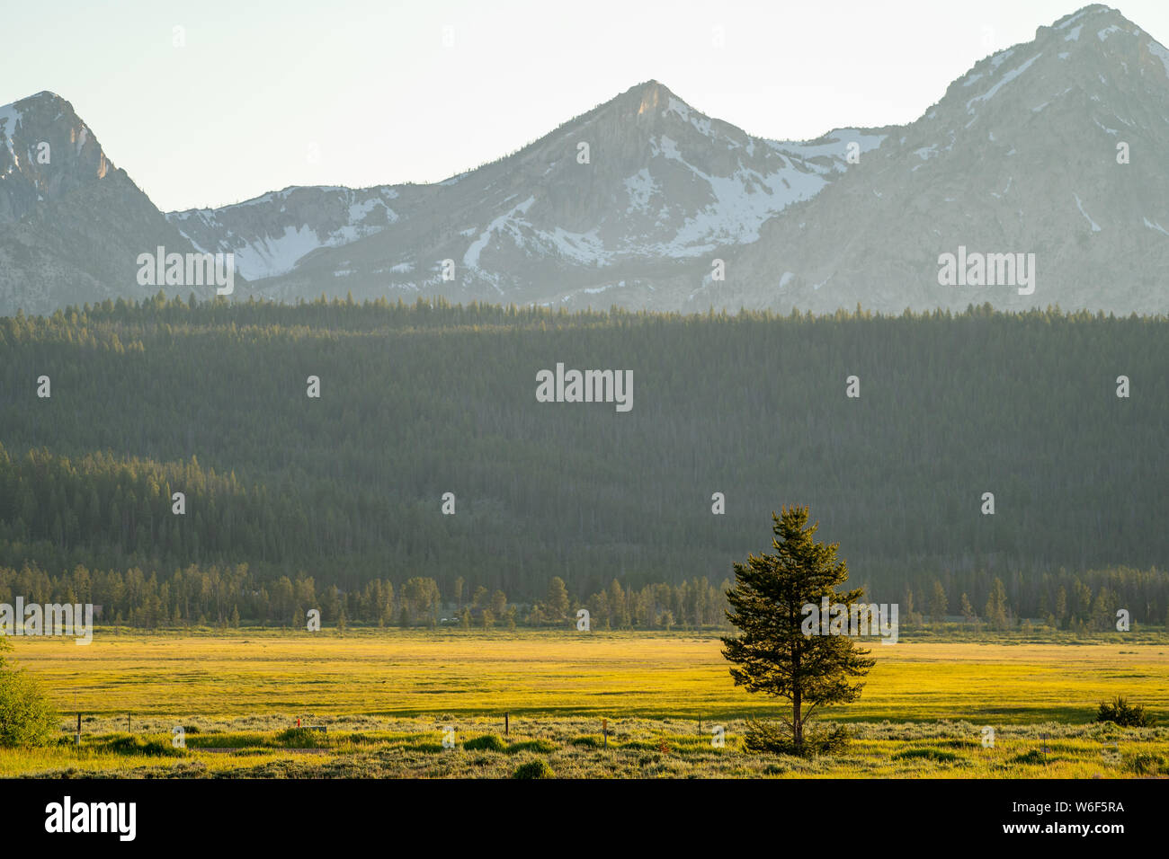 One lonely tree stands against the backdrop of the Idaho Sawtooth Mountains in Stanley, ID at dusk Stock Photo