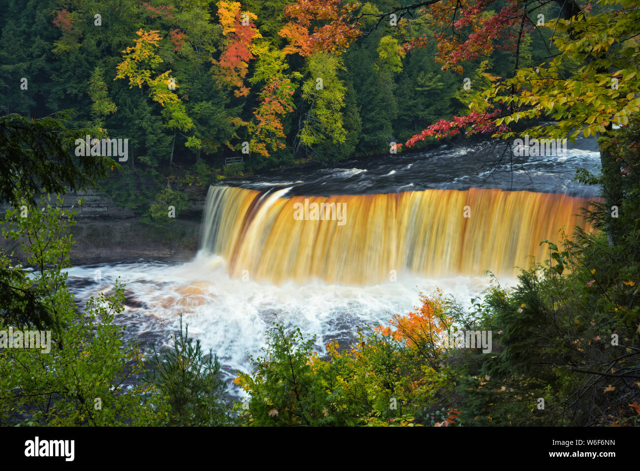 The Tahquemenon River with its amber colored water from naturally occurring tannin found cascades over Tahqemenon Falls in Michigan's Upper Peninsula. Stock Photo