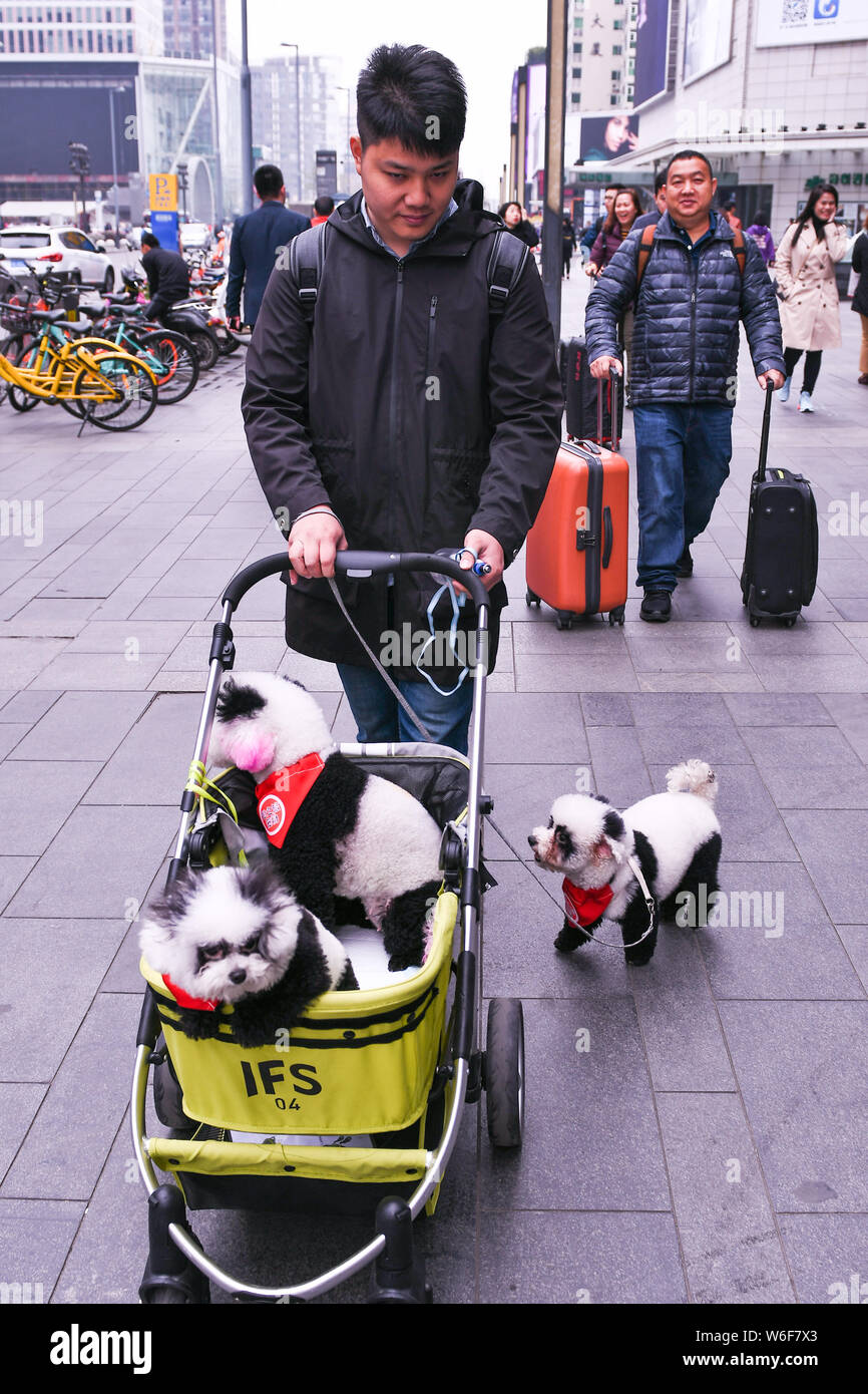 southwest baby stroller