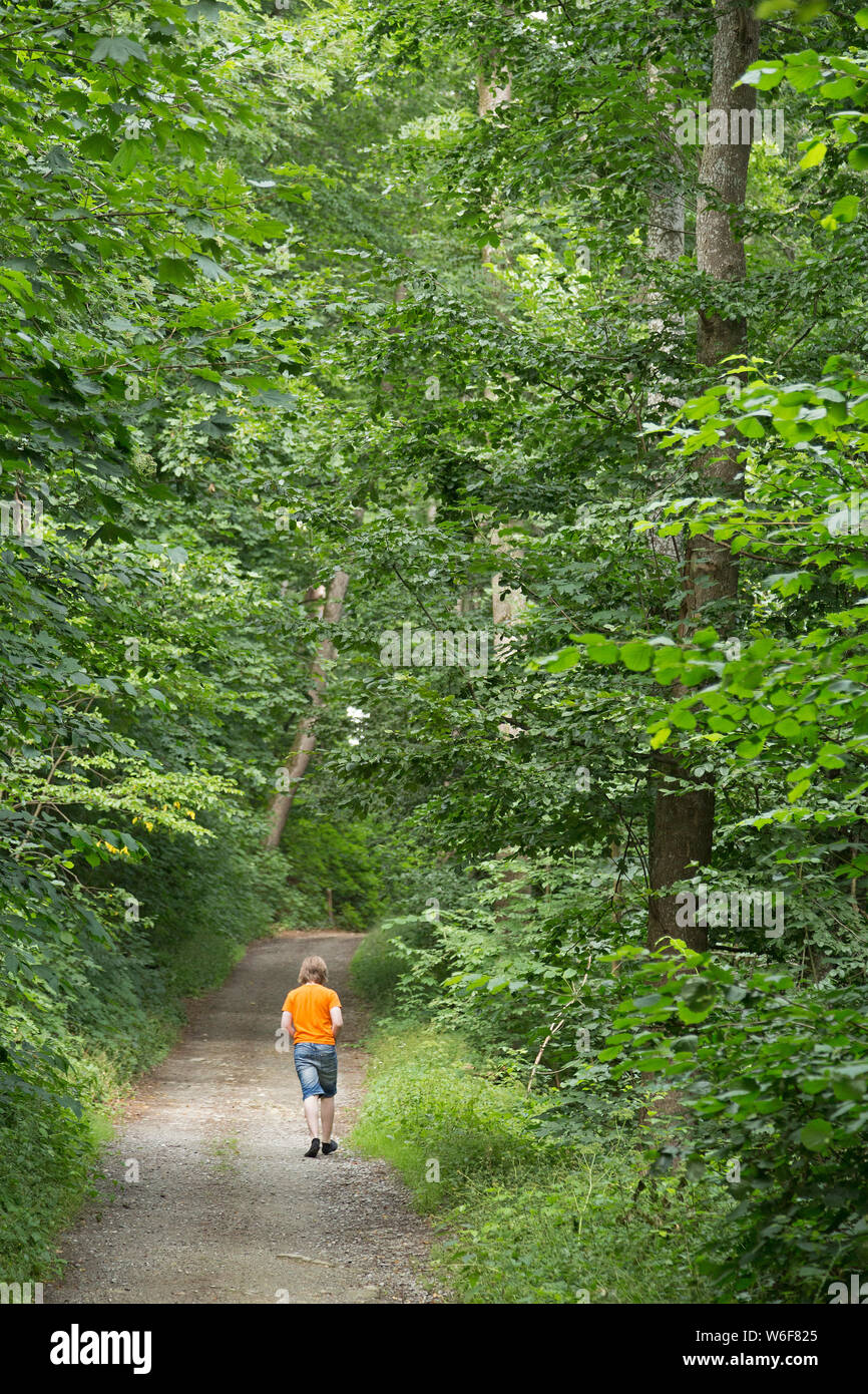 hiking trail, Geiersberg, Deggendorf, Bavarian Forest, Lower Bavaria, Germany Stock Photo