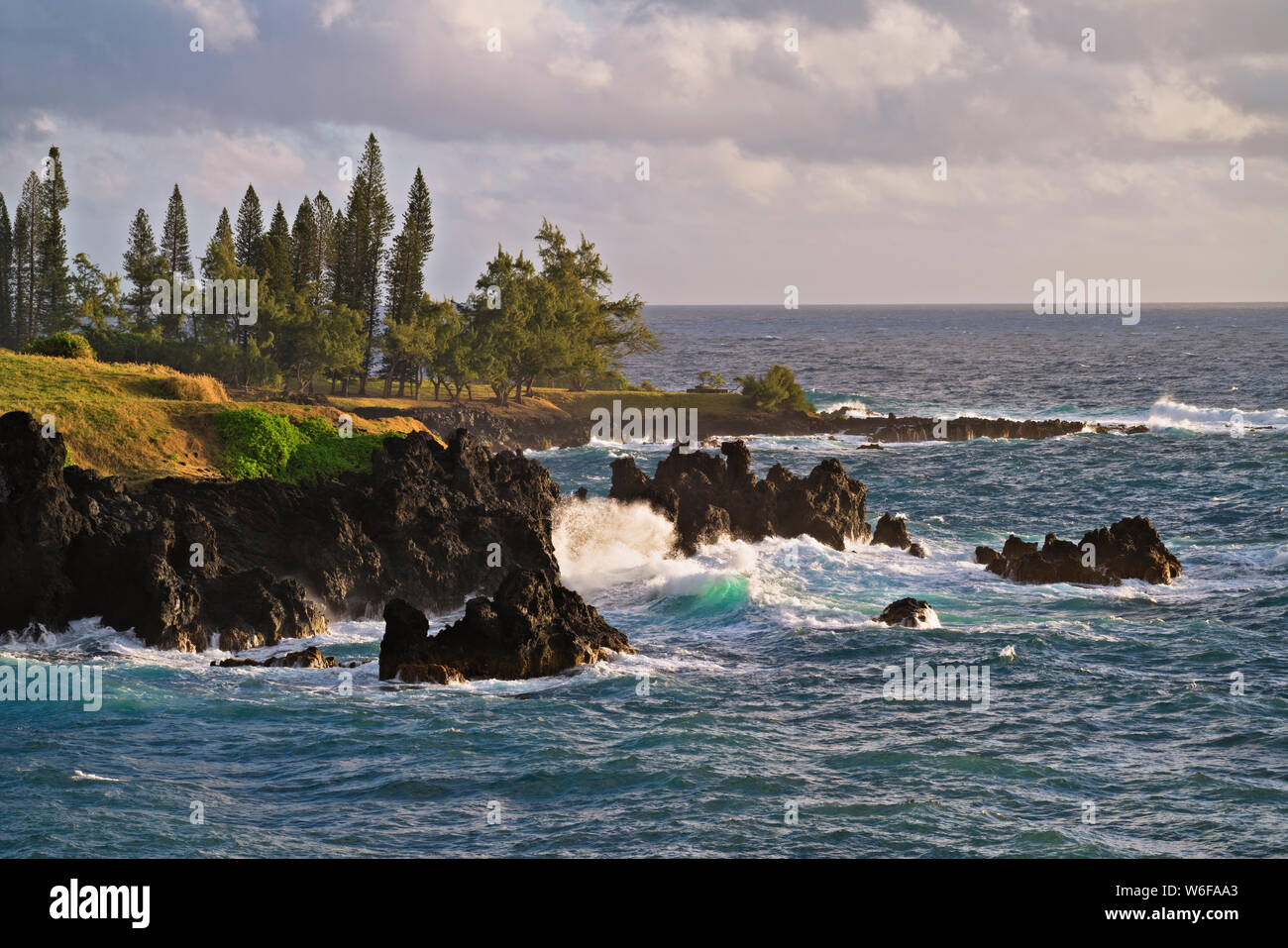 Maui shoreline hi-res stock photography and images - Alamy