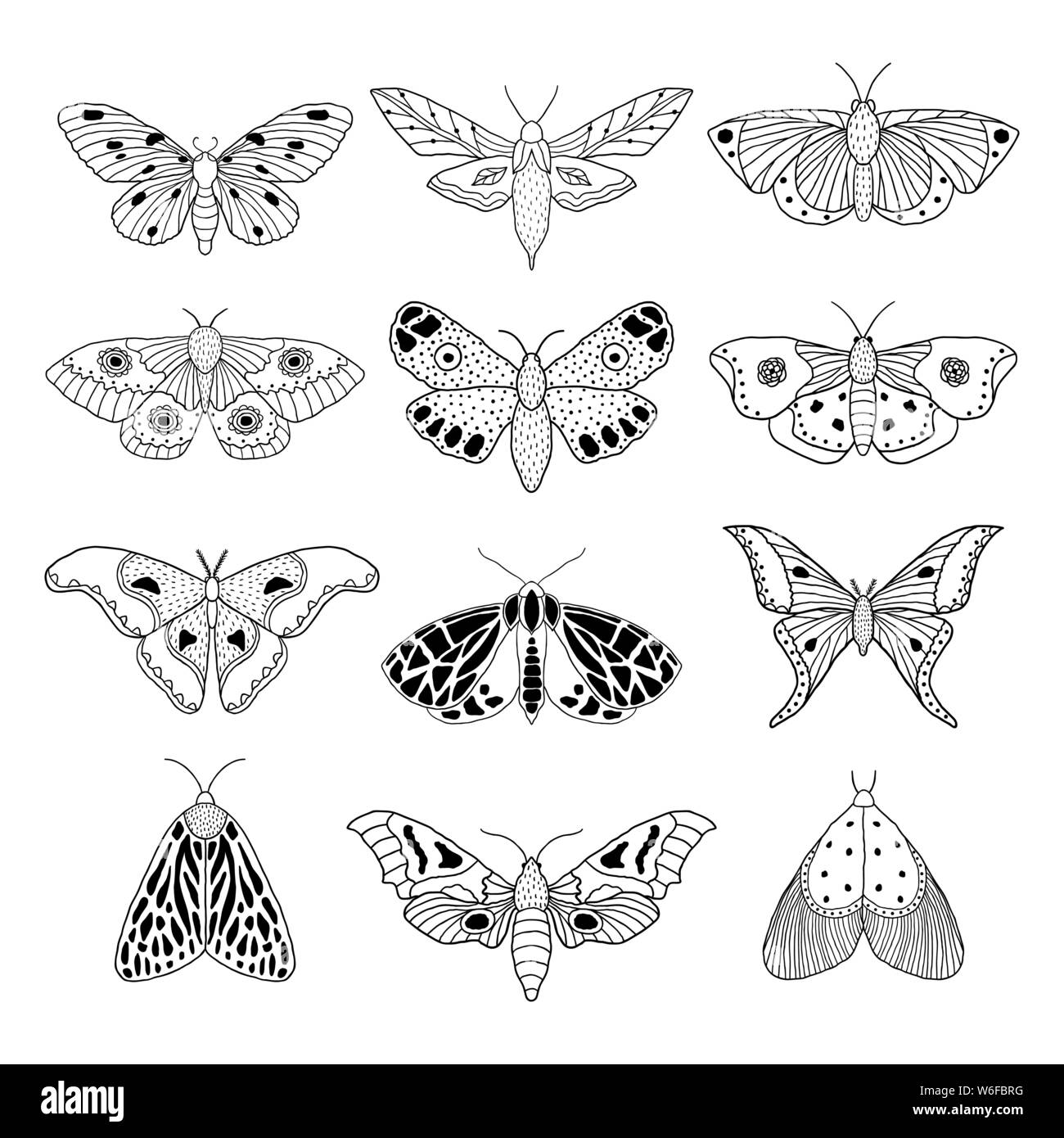 Set of hand drawn moths and butterflies in doodle style on white ...