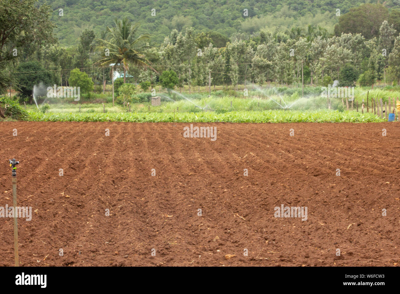 Ploughed land ready for cultivation, Hasanur, Tamil Nadu, India Stock