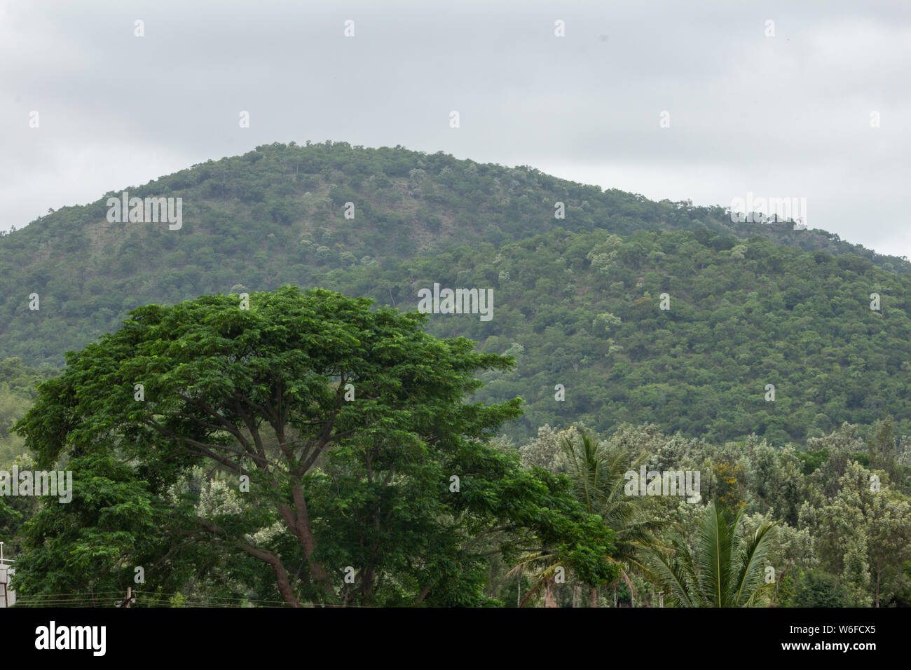 Beautiful view of the mountain range of Talamal Reserve Forest, Hasanur, Tamil Nadu - Karnataka State border, India Stock Photo