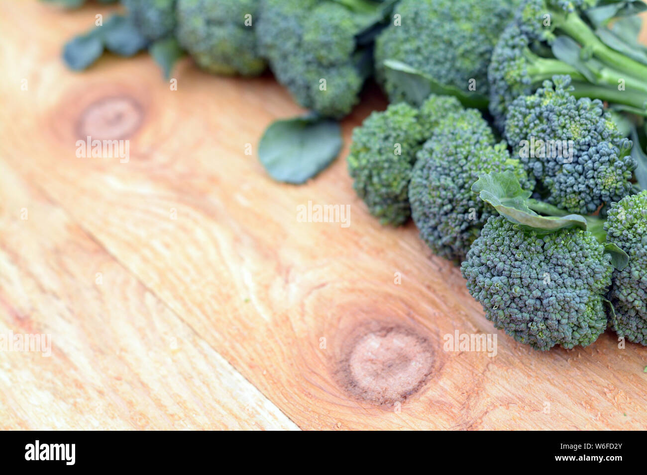 green organic broccoli formed for frame (focus on closest broccoli ...