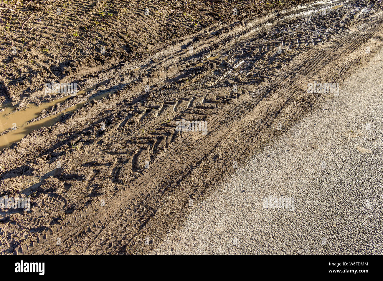 Tractor tyre tracks on roadside verge - France. Stock Photo