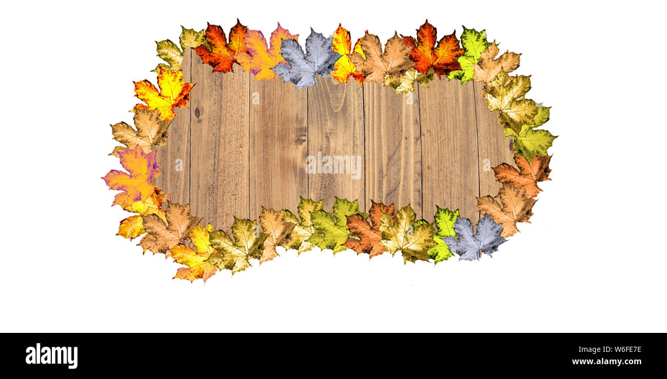 Wooden background with a colorful autumn leaves on a white background ...