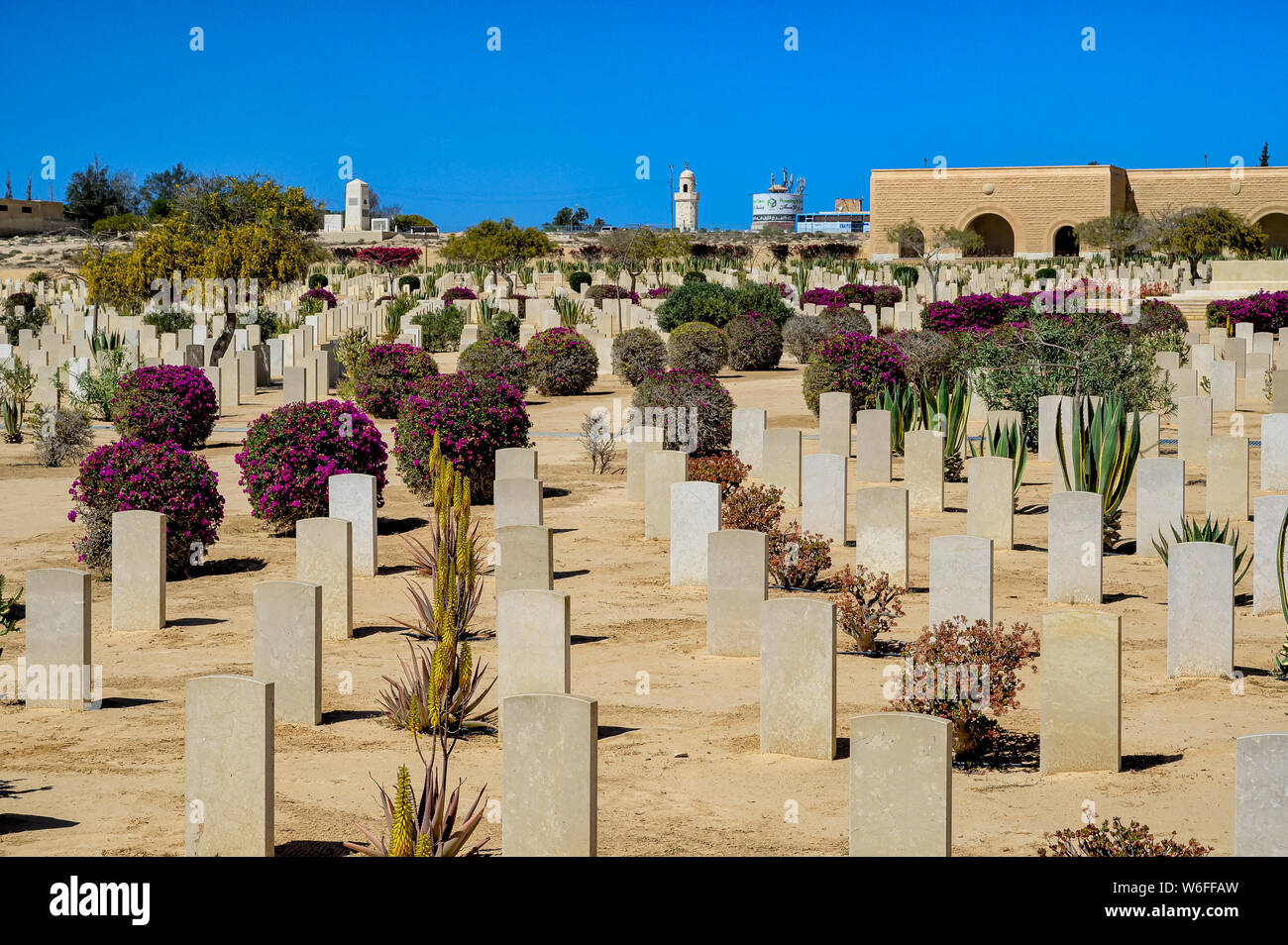 The Commonwealth War Cemetery is a haunting place where more than 7240 tombstones stand in regimented rows between beautifully tended desert plants Stock Photo