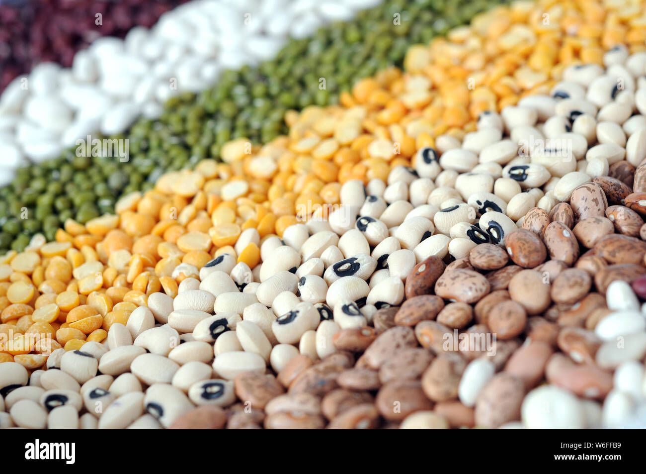 pinto, black eyes, yellow split pea, mung, navy and red bean for