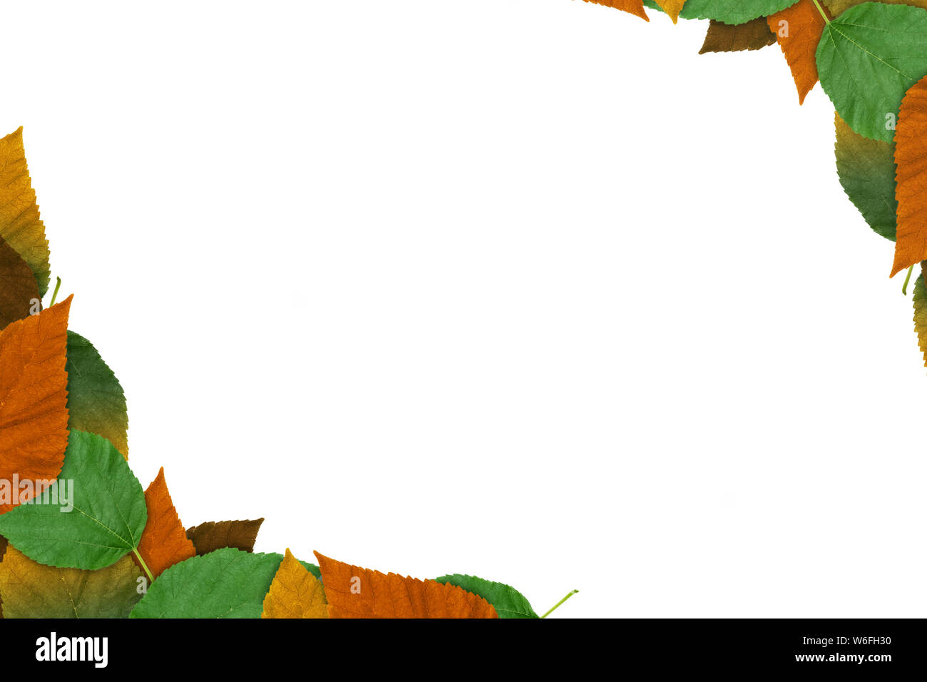 Frame of autumn leaves isolated on white background Stock Photo - Alamy