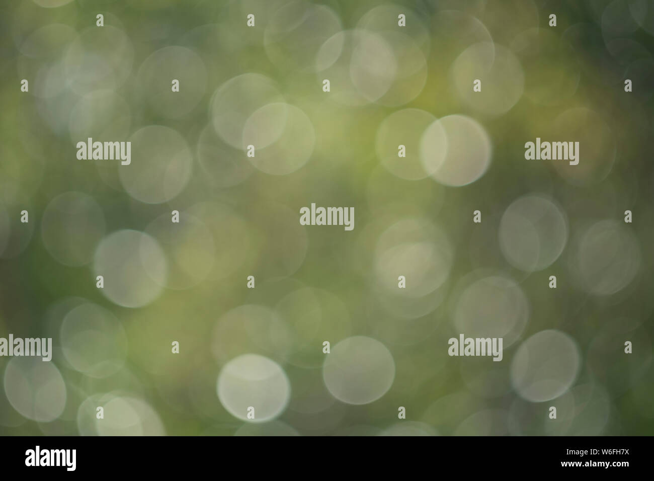 Dream bokeh hi-res stock photography and images - Alamy