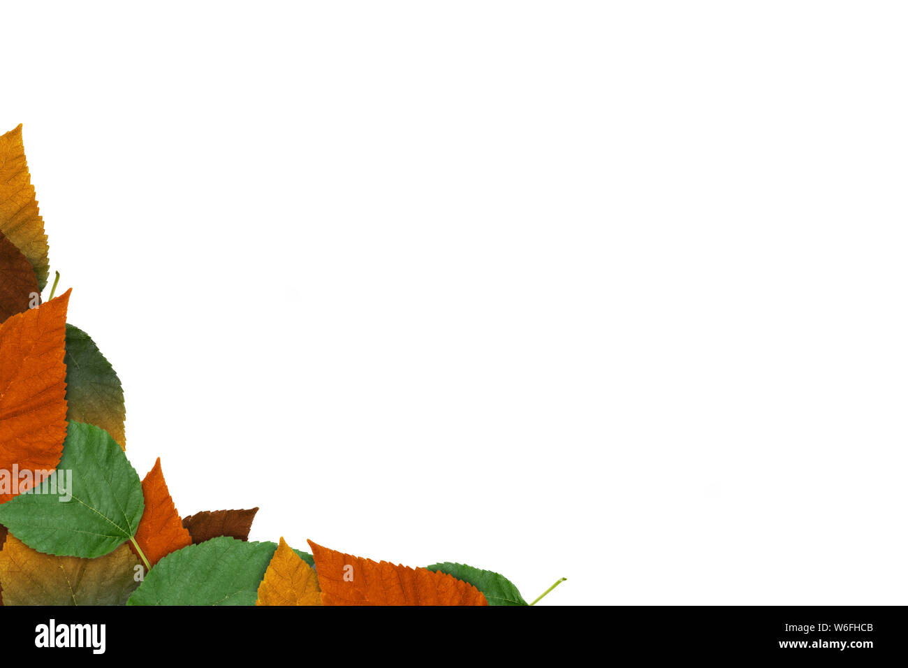 Frame of autumn leaves isolated on white background Stock Photo - Alamy