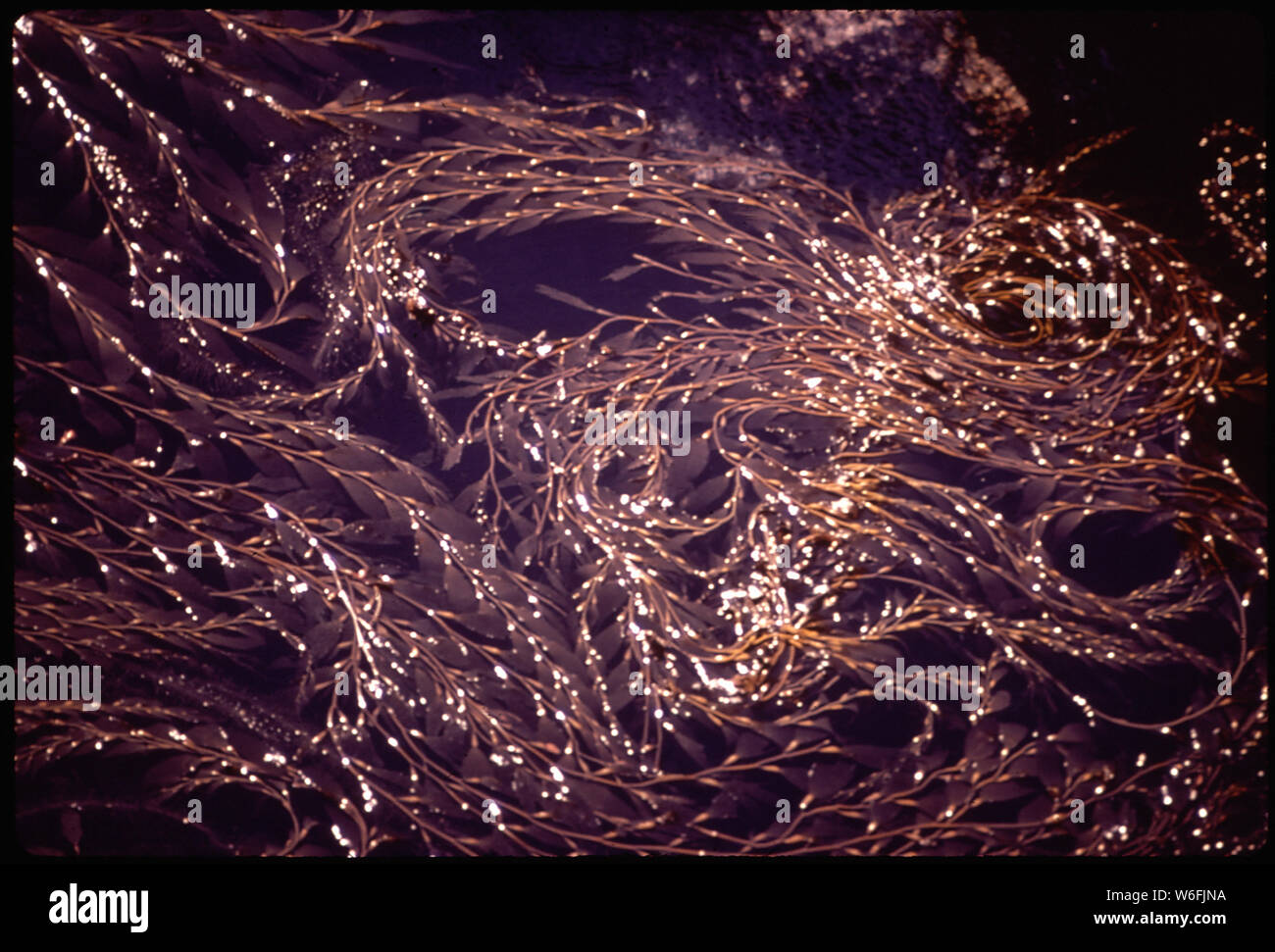 CALIFORNIA--SHELL BEACH POINT Stock Photo - Alamy