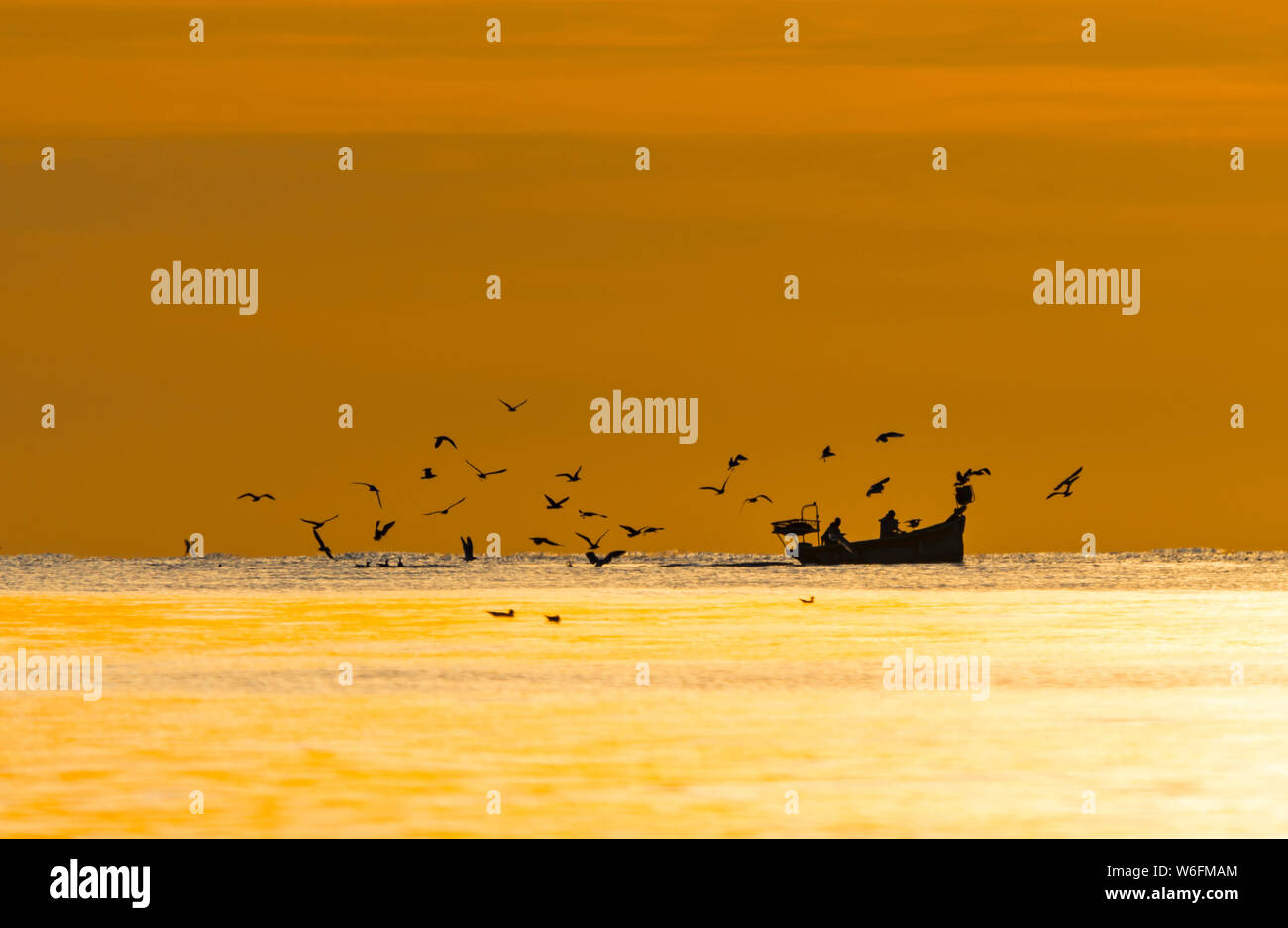 Fishing boat at sea with birds flying overhead as the sun sets in Autumn in the UK. Stock Photo