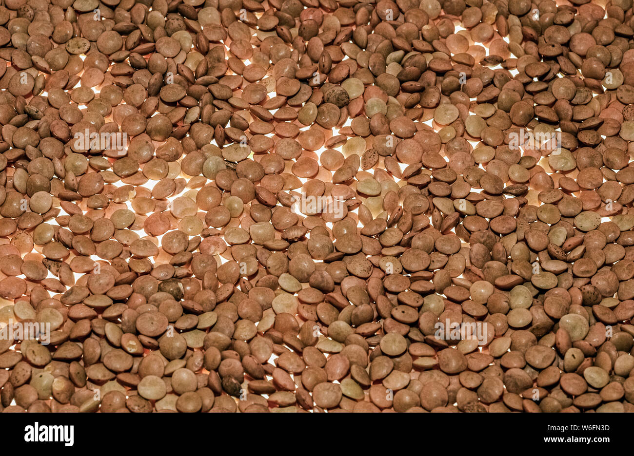 Lentils Stock Photo