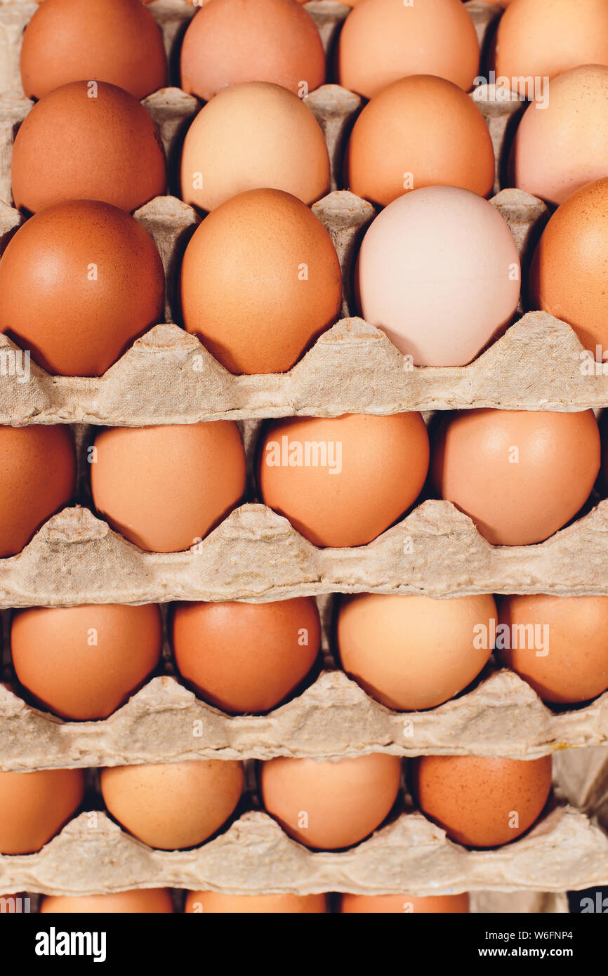 brown eggs Paper trays containers paper. many Stock Photo - Alamy