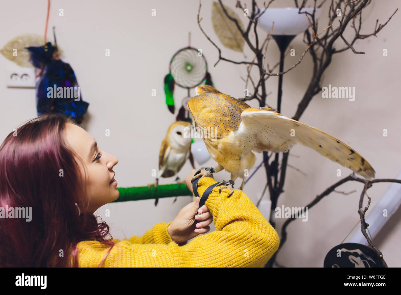 The owl sits on the girl's hand. The woman with the owl Stock Photo - Alamy