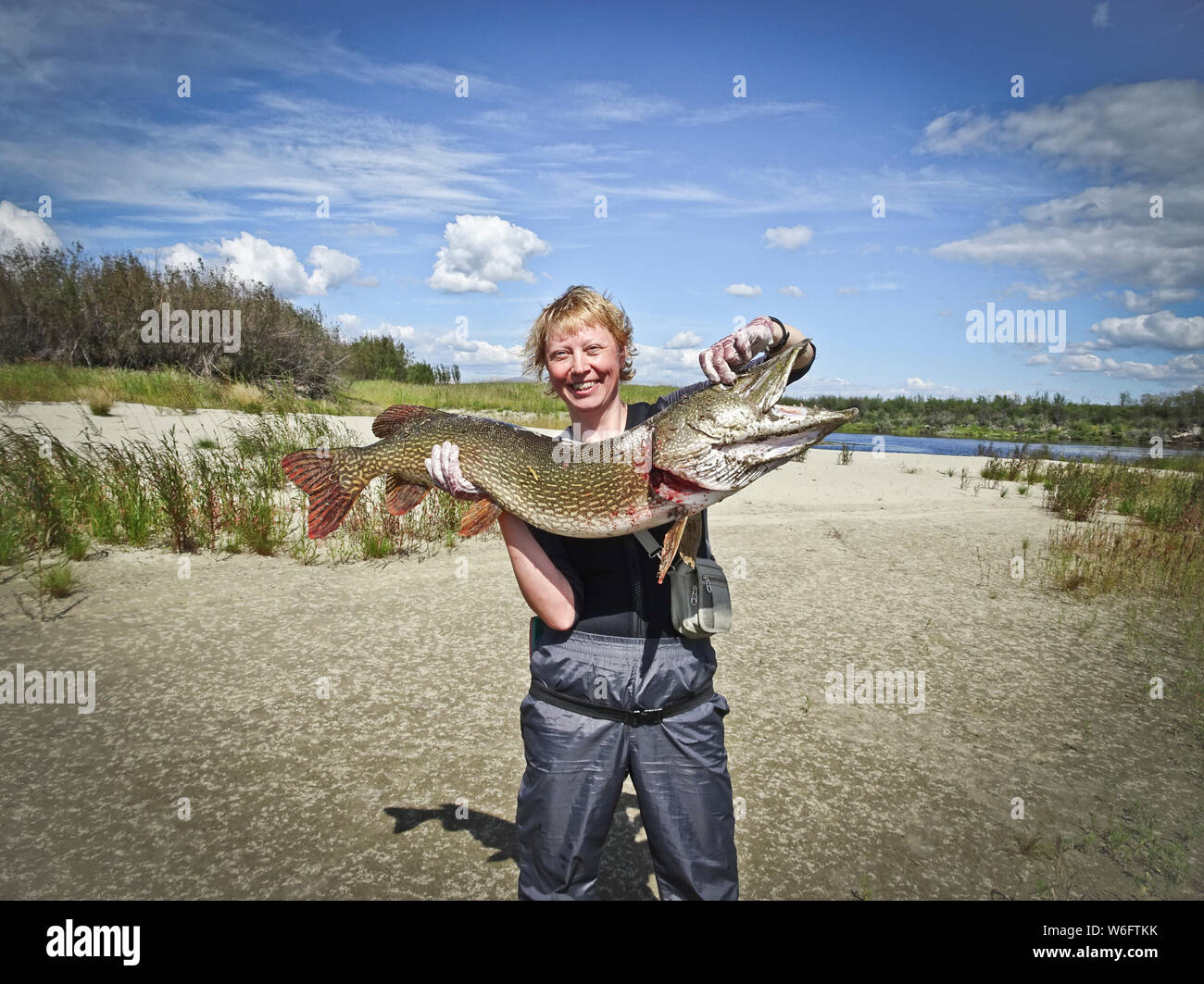 the-happy-fisherwoman-holds-in-her-hands-a-huge-pike-of-10-kg-trophy