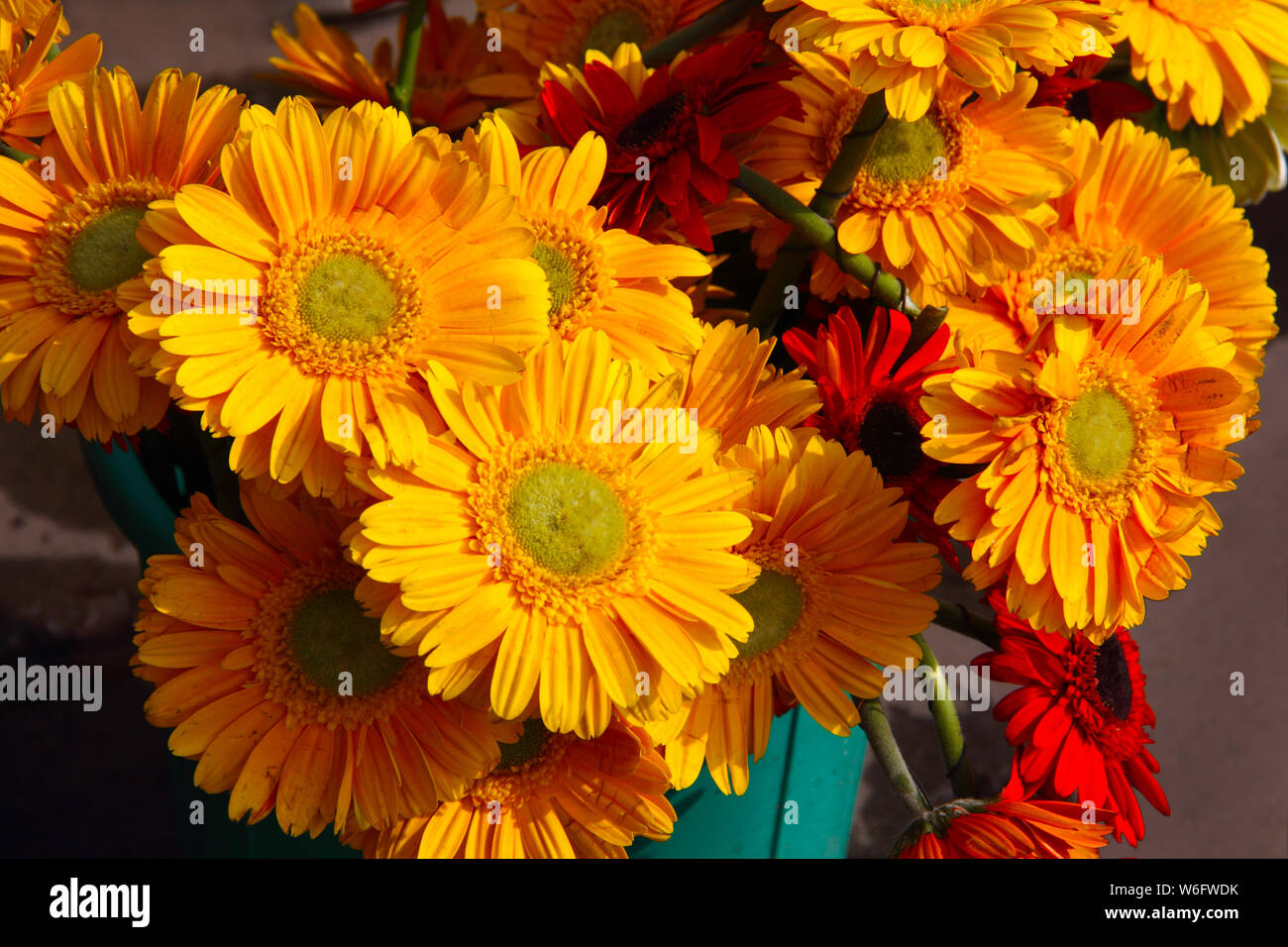 Bouquet at a flower shop Stock Photo