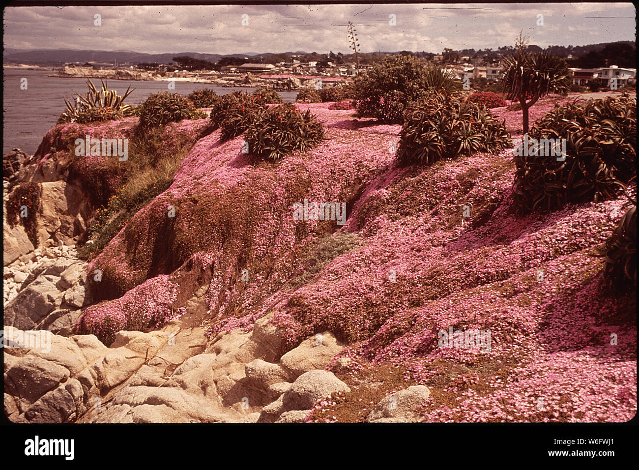 California Pacific Grove, Monterey Bay Stock Photo Alamy