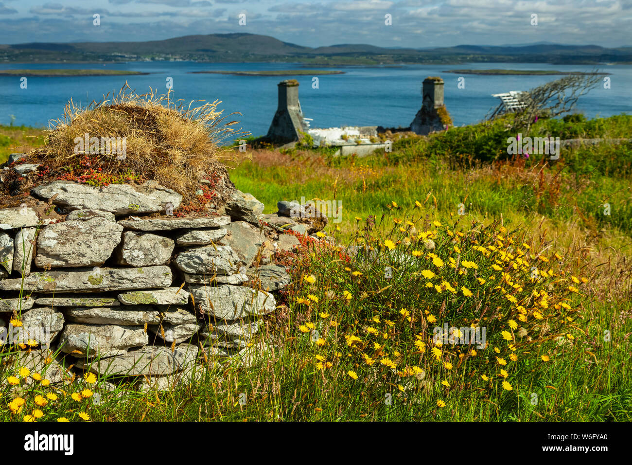 Roaringwater Bay, Wild Atlantic Way, West Cork; County Cork, Ireland Stock Photo